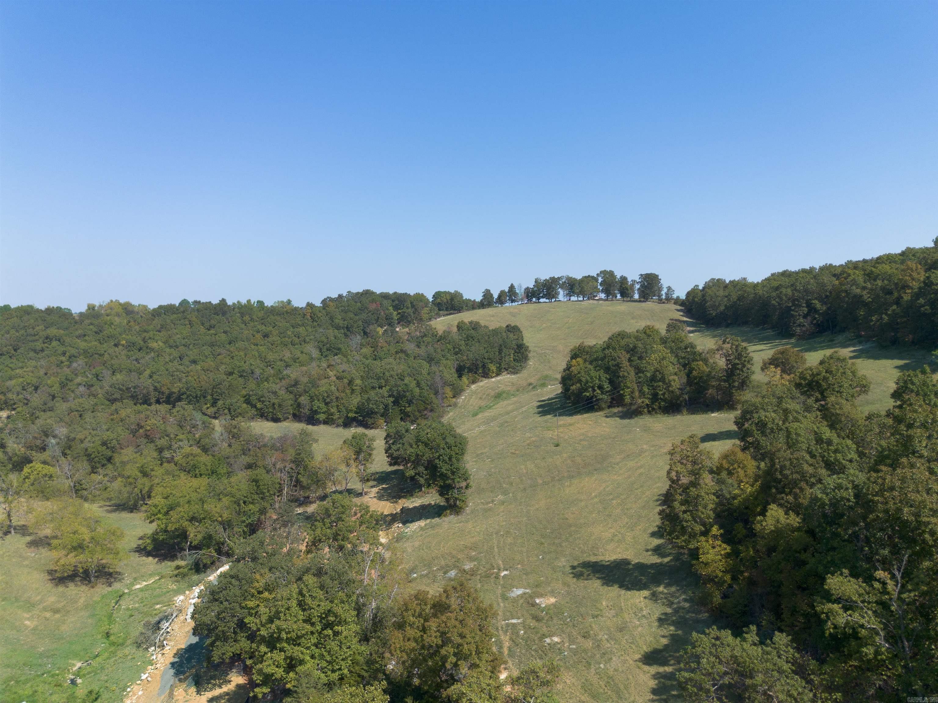 79.50 Ac. (+/-) Crochet Road Property Photo 14