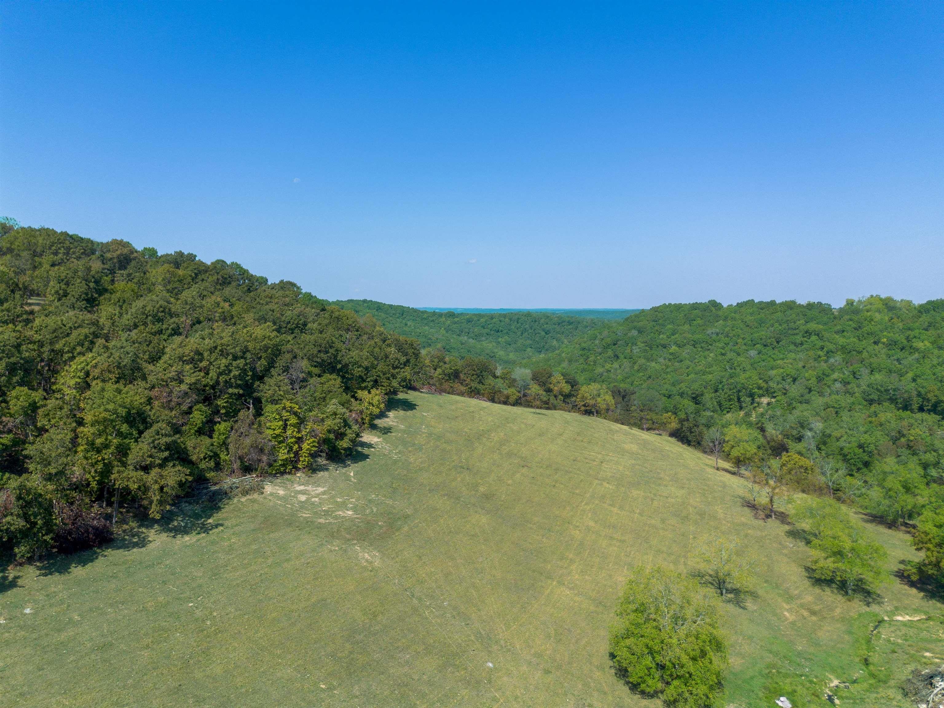 79.50 Ac. (+/-) Crochet Road Property Photo 15
