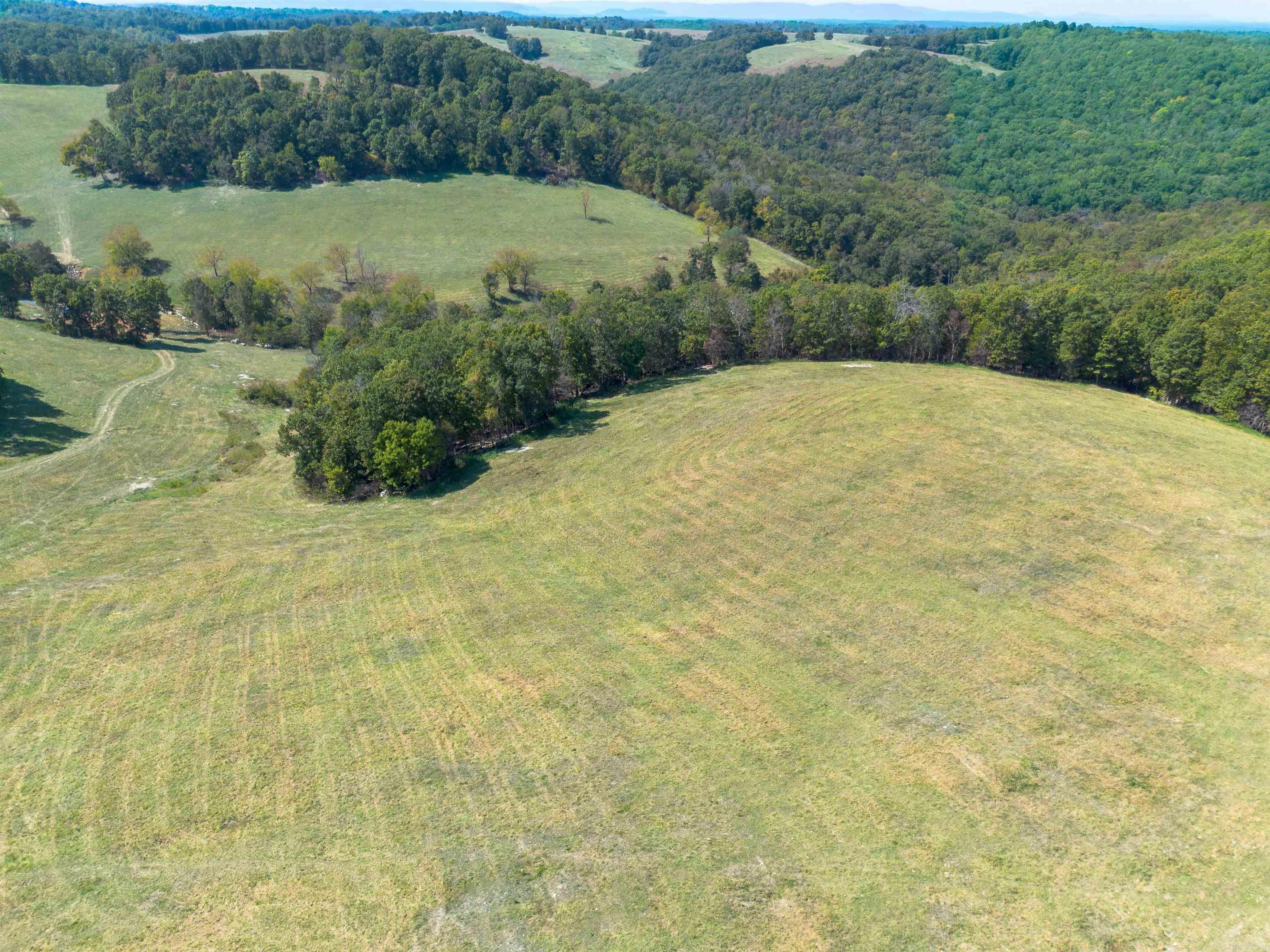 79.50 Ac. (+/-) Crochet Road Property Photo 16