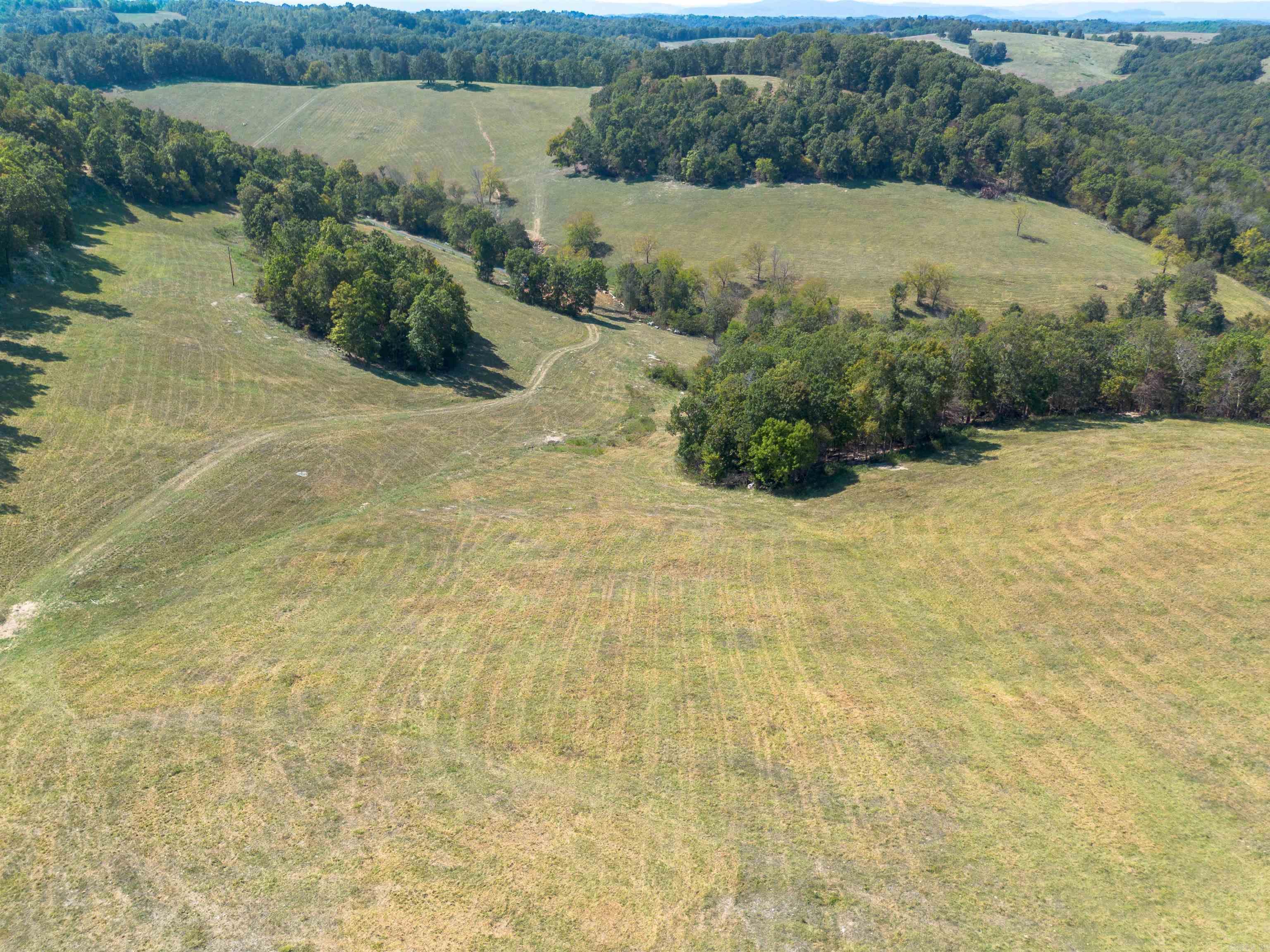 79.50 Ac. (+/-) Crochet Road Property Photo 17