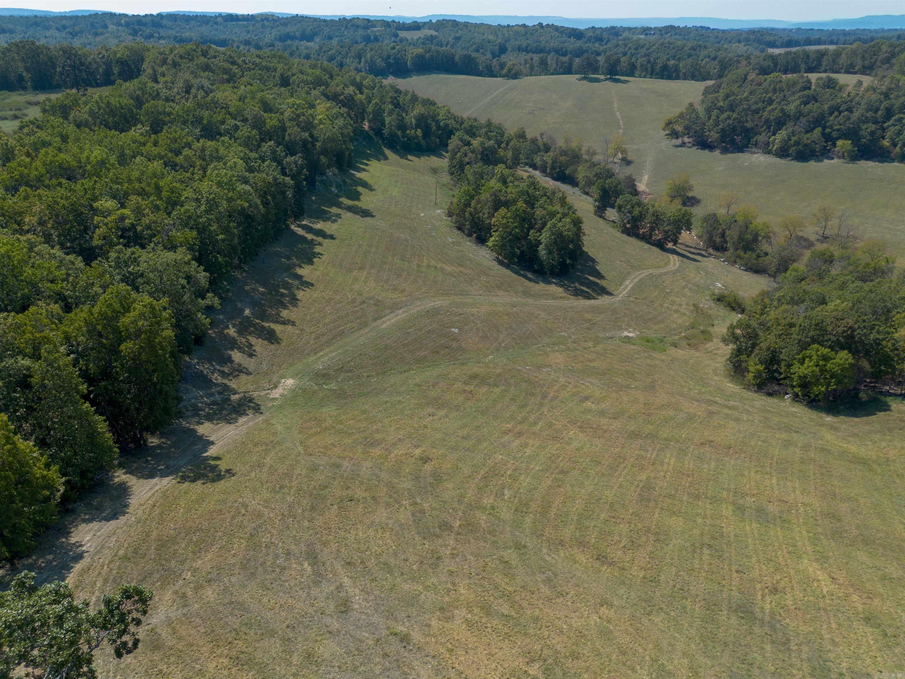 79.50 Ac. (+/-) Crochet Road Property Photo 18
