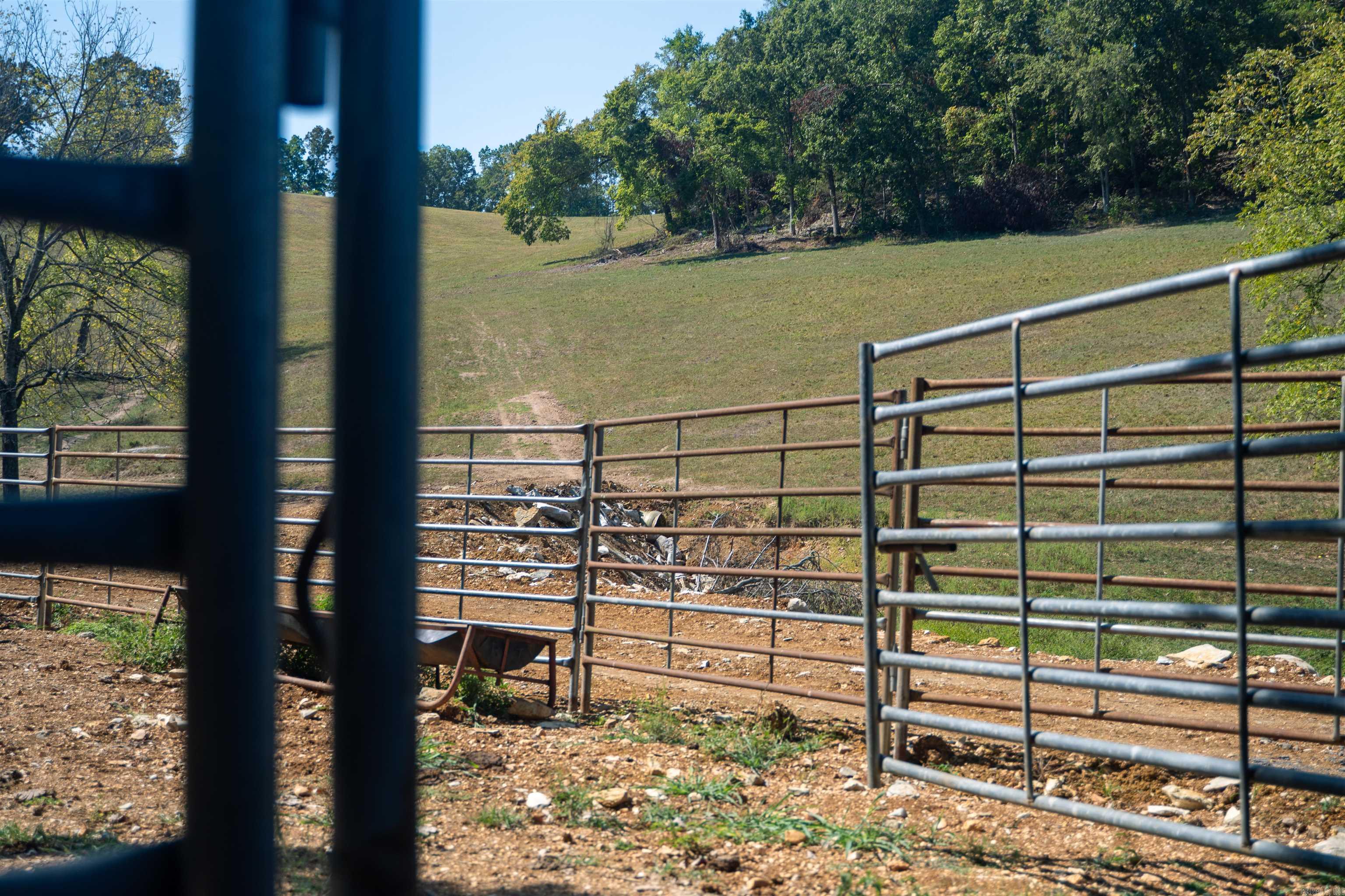 79.50 Ac. (+/-) Crochet Road Property Photo 20