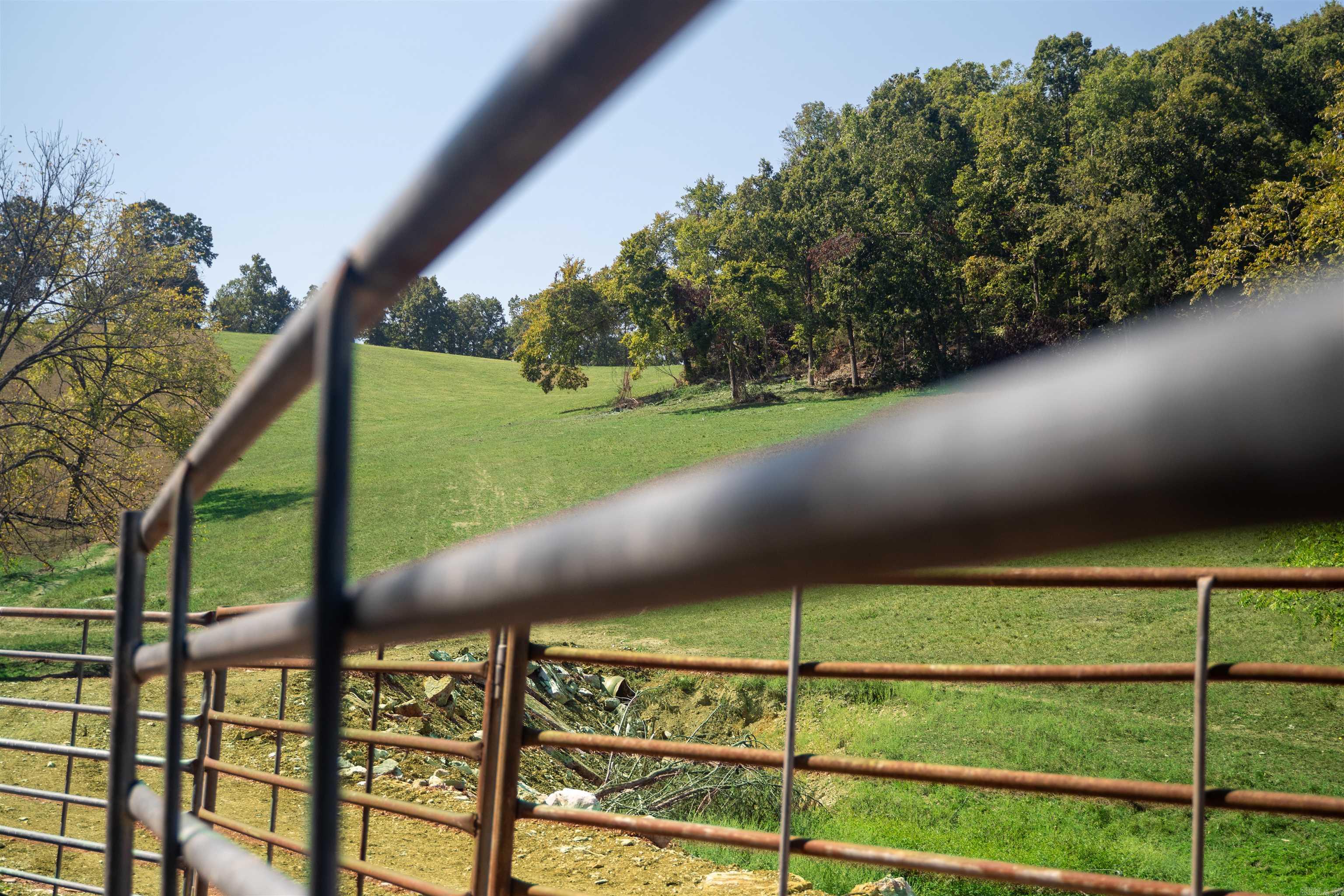 79.50 Ac. (+/-) Crochet Road Property Photo 21
