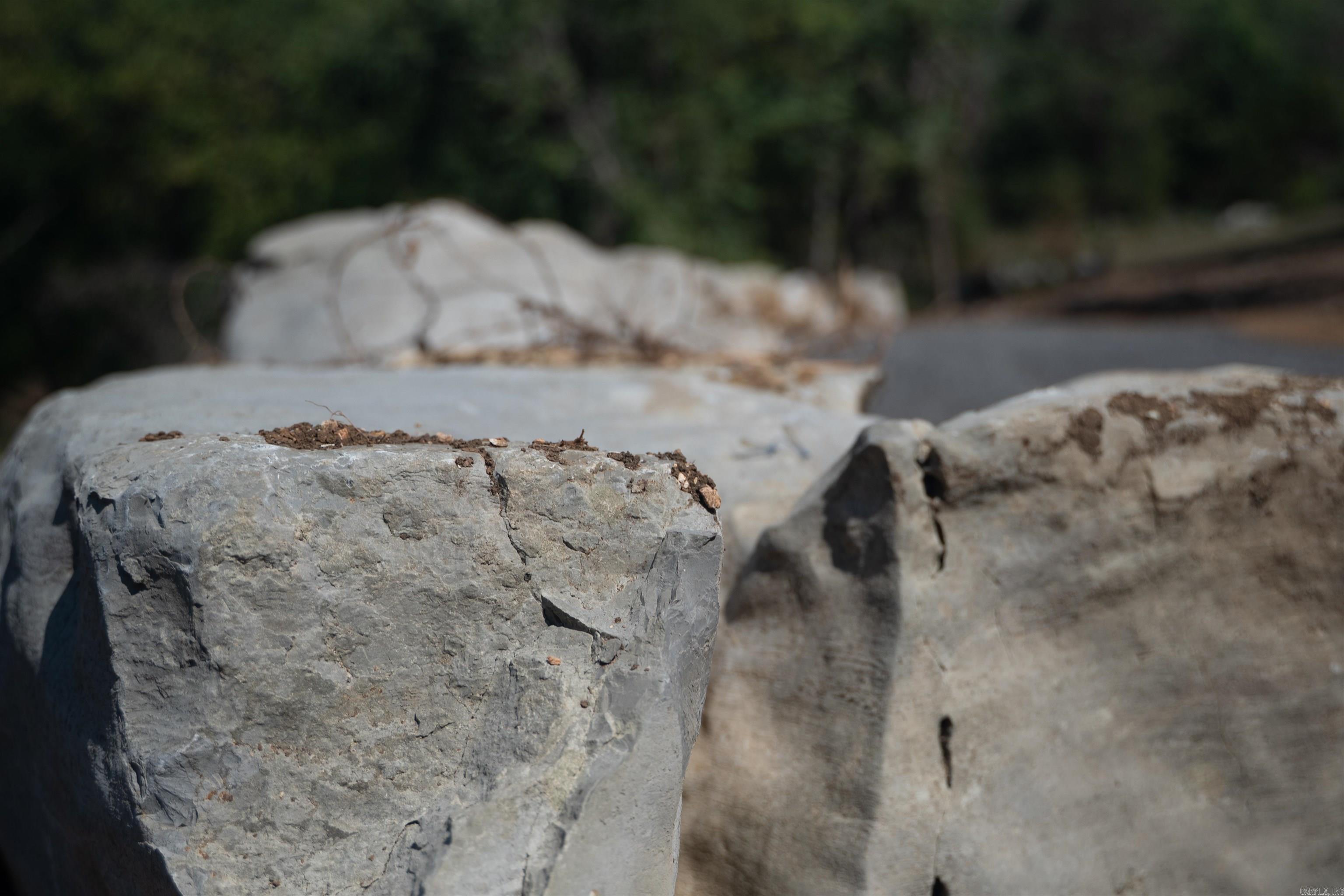 79.50 Ac. (+/-) Crochet Road Property Photo 22