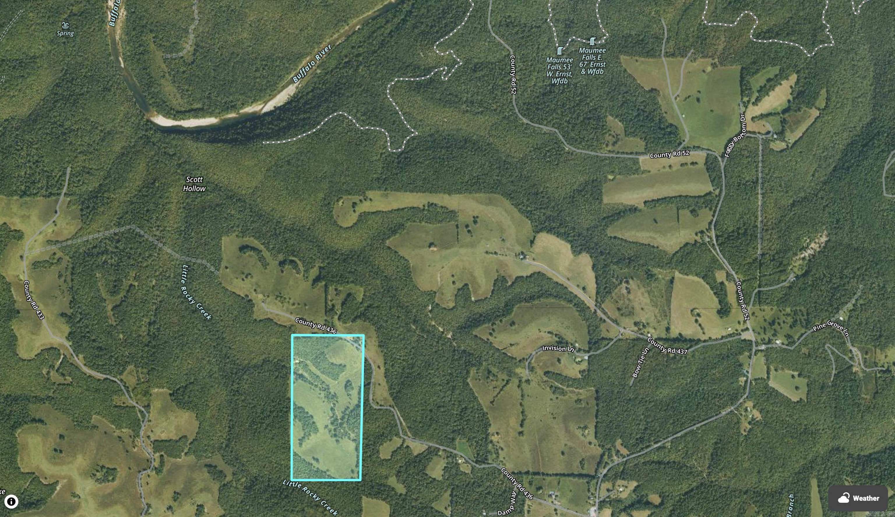 79.50 Ac. (+/-) Crochet Road Property Photo 23