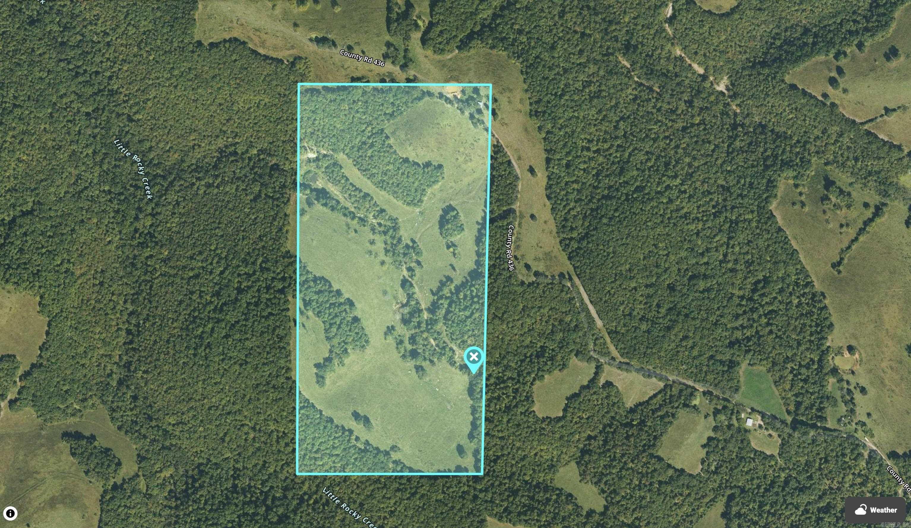 79.50 Ac. (+/-) Crochet Road Property Photo 26
