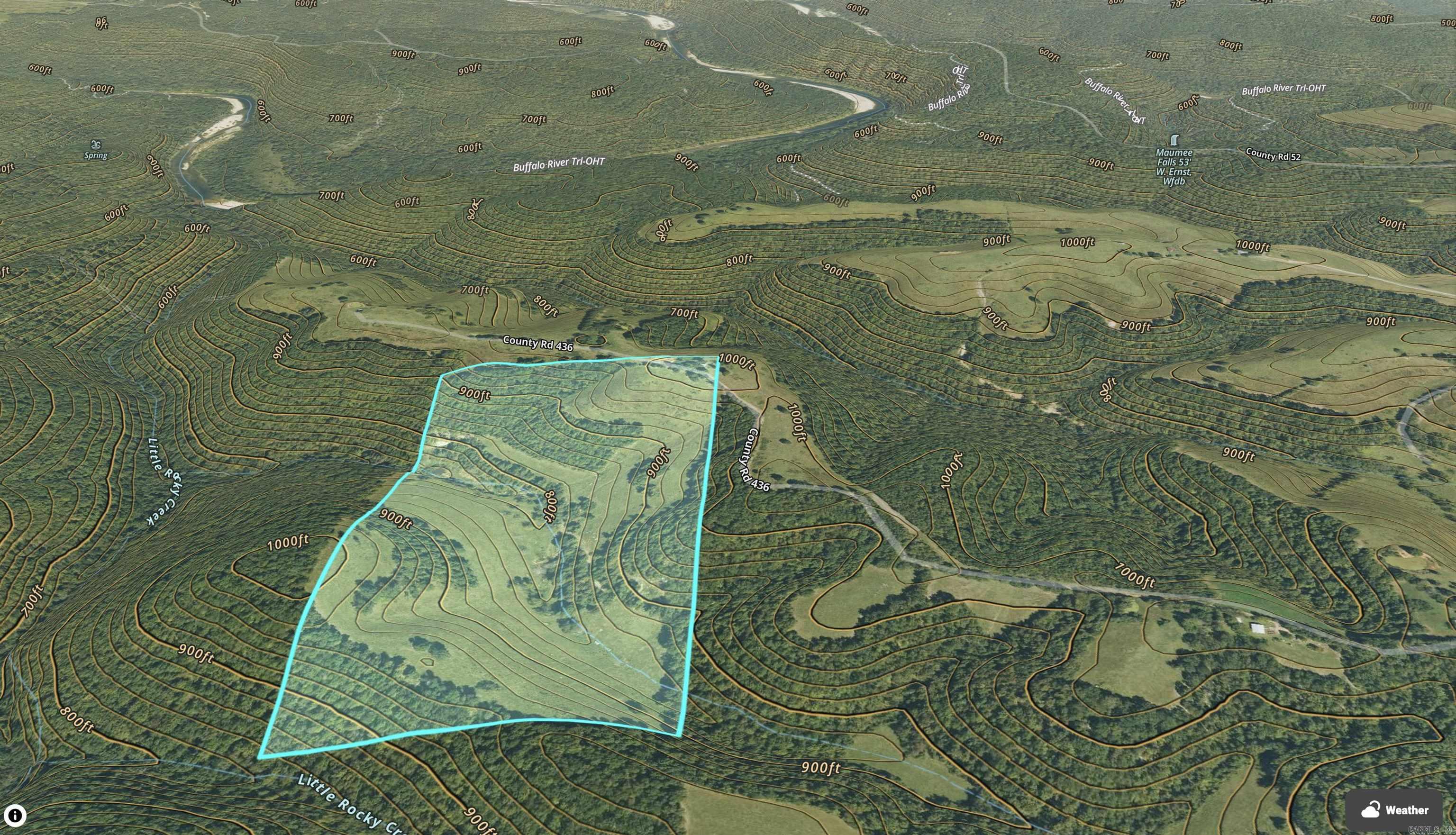 79.50 Ac. (+/-) Crochet Road Property Photo 27