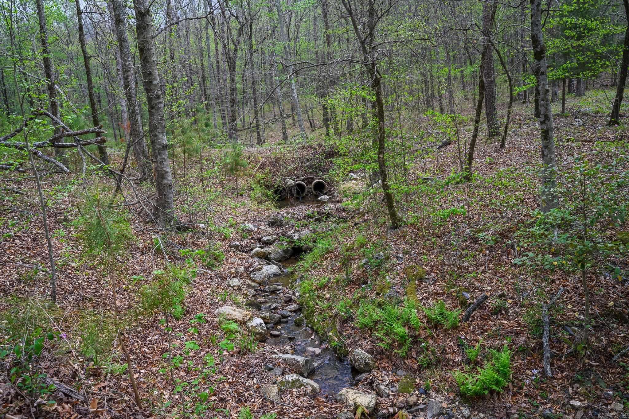Tbd Polk Road 602 Property Photo 31