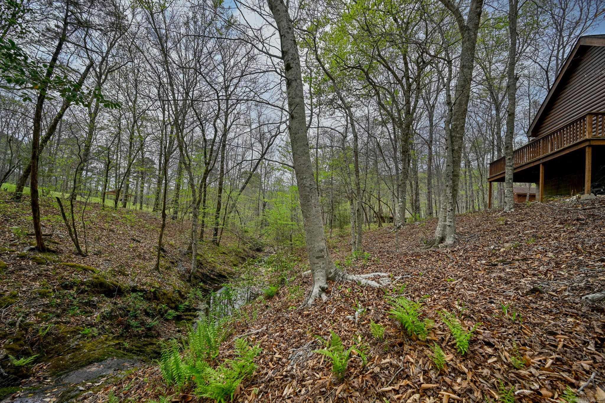 Tbd Polk Road 602 Property Photo 32