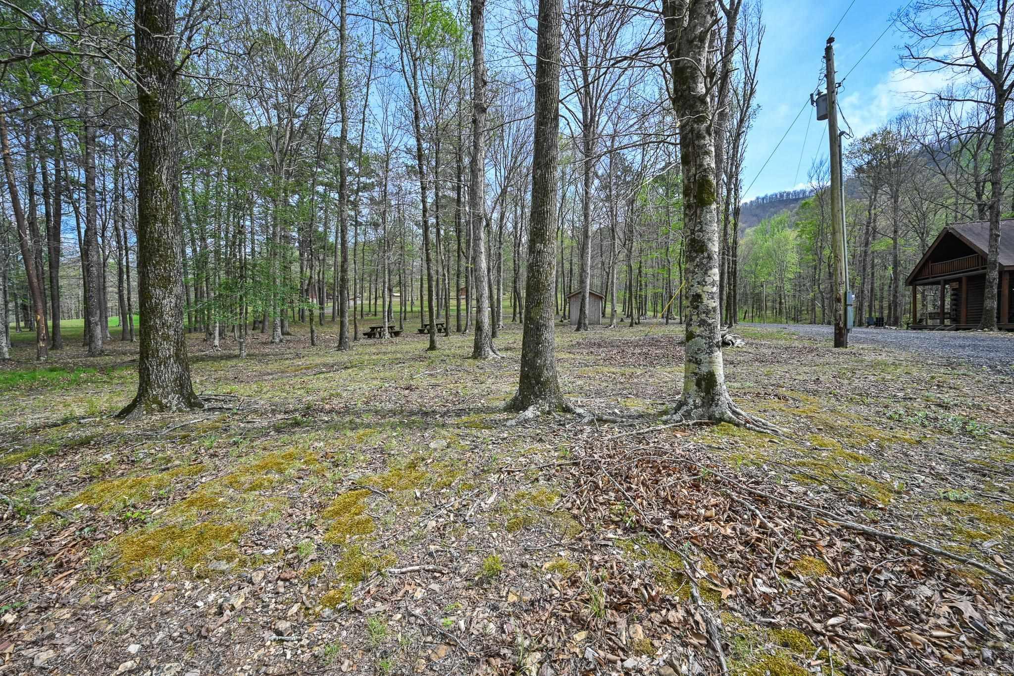 Tbd Polk Road 602 Property Photo 40