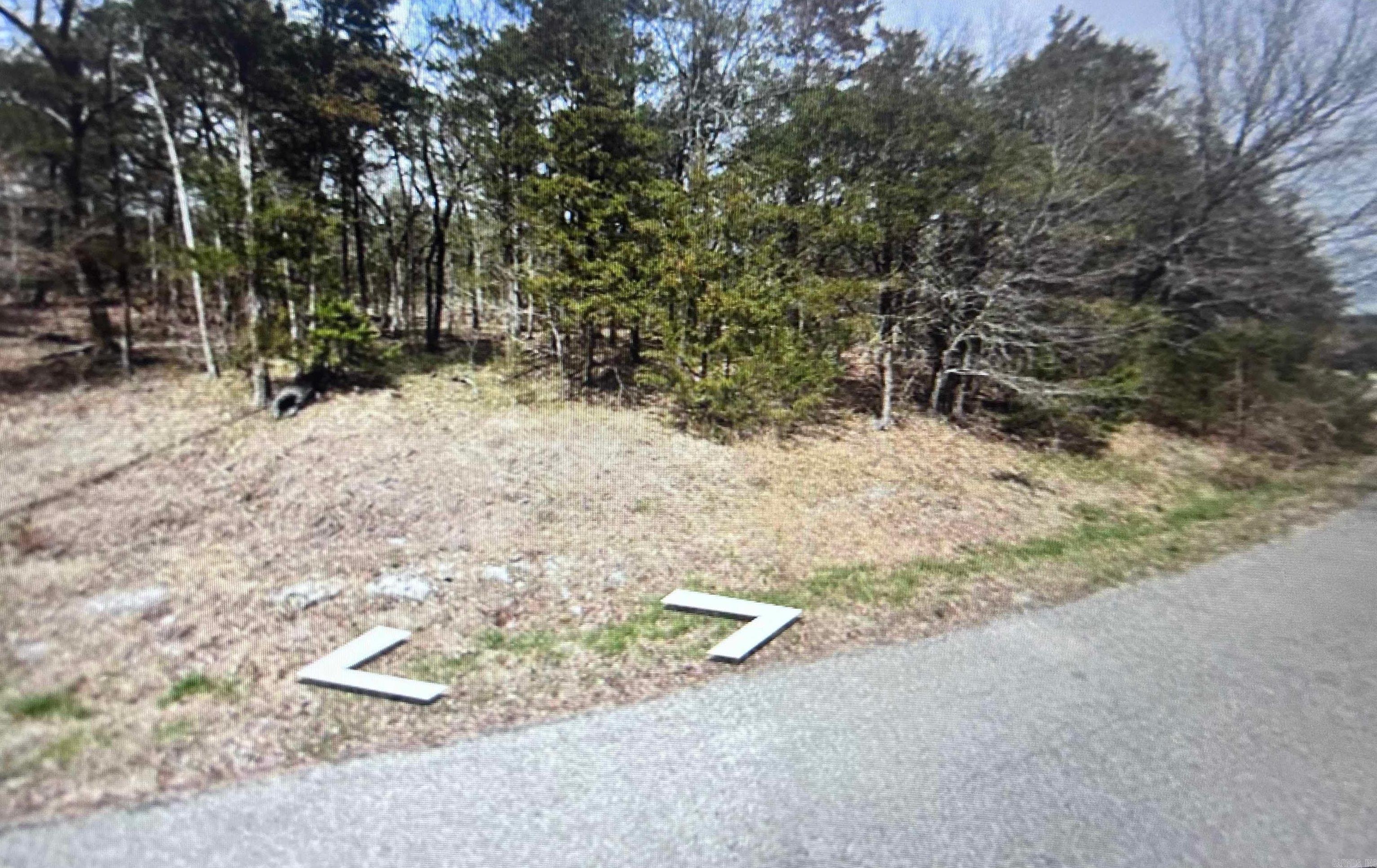 Lot 38 Hickory Lane Property Photo 1
