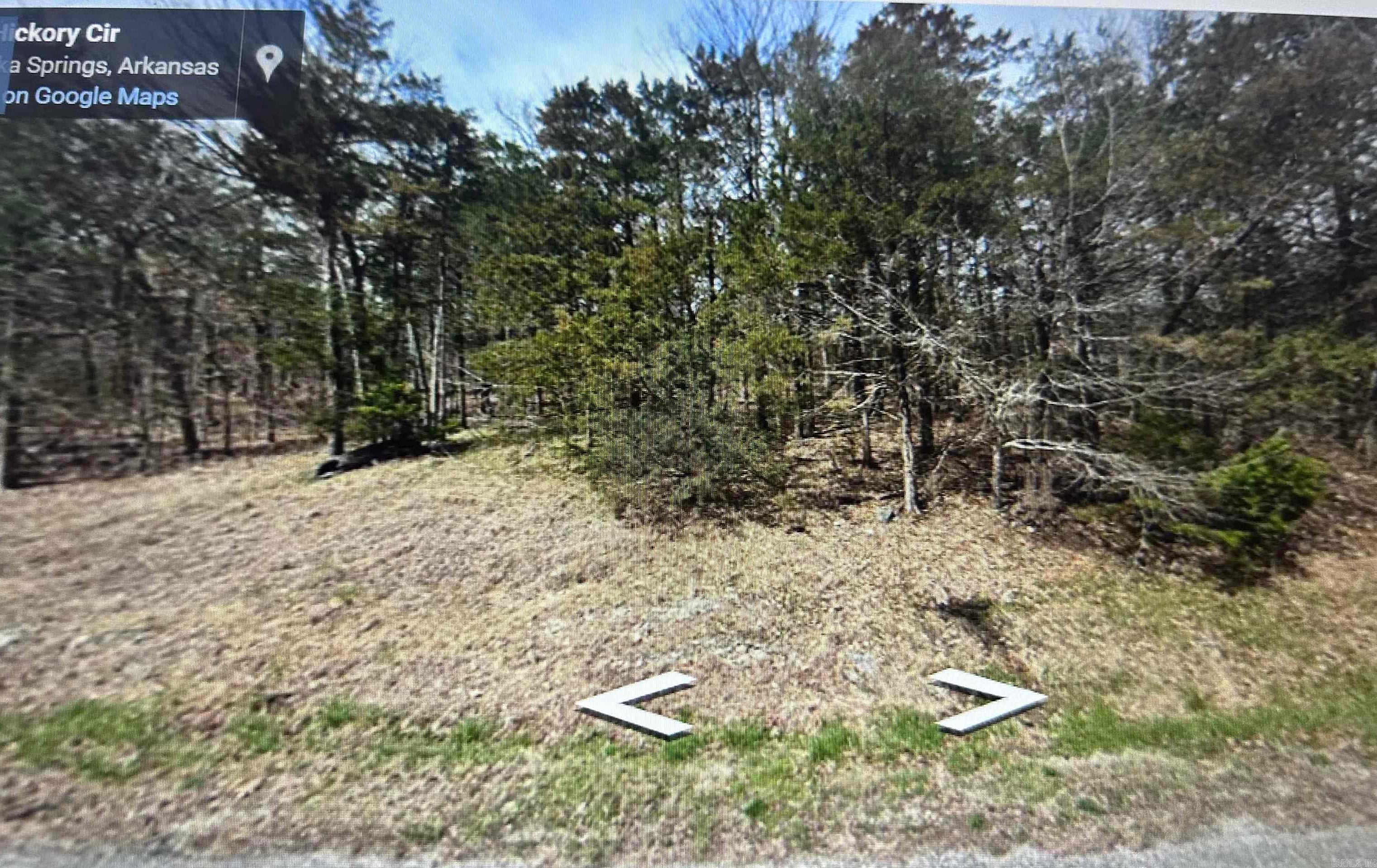 Lot 38 Hickory Lane Property Photo 2