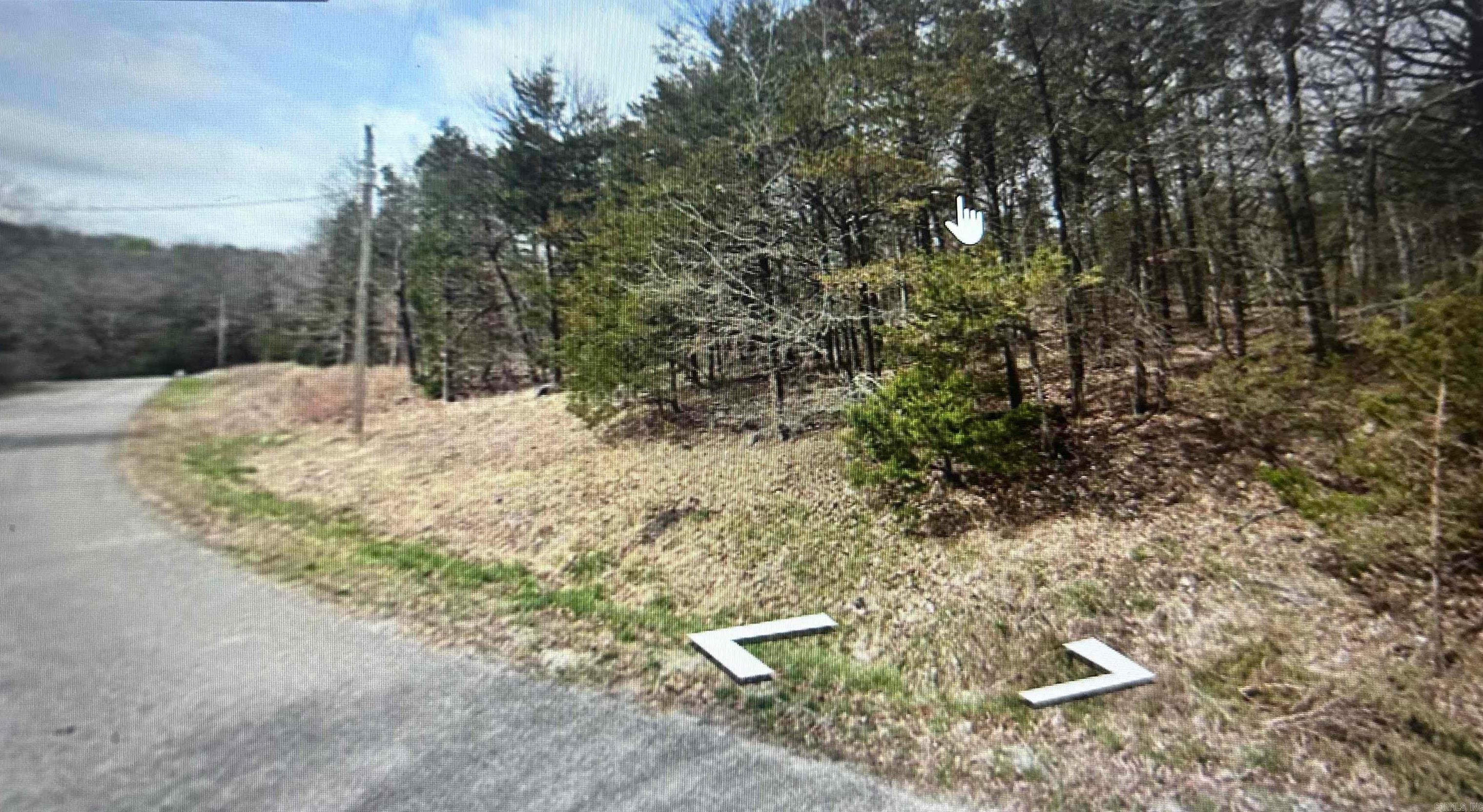Lot 38 Hickory Lane Property Photo 4