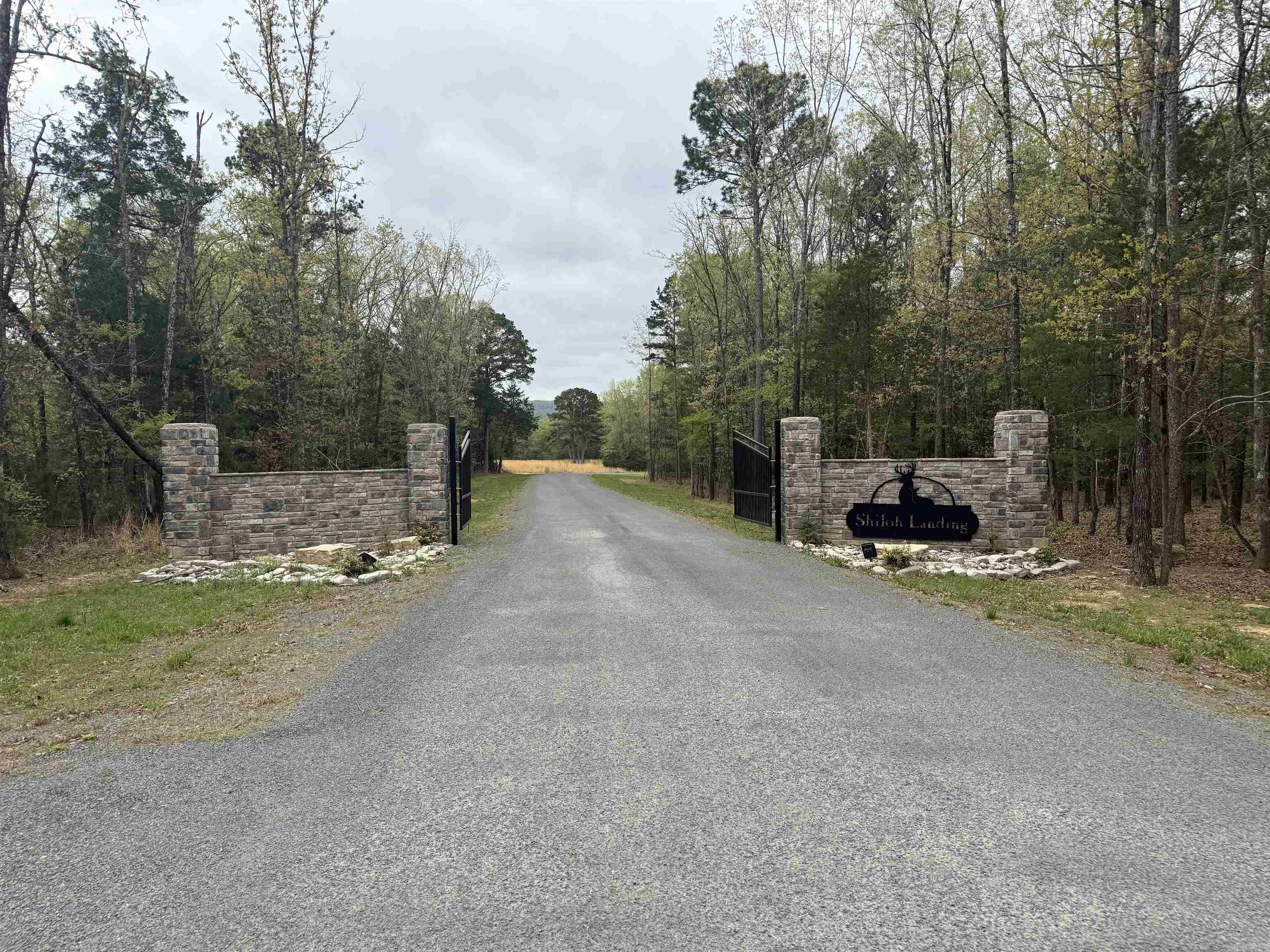 Lot 30 Shiloh Landing Pointe Property Photo 1