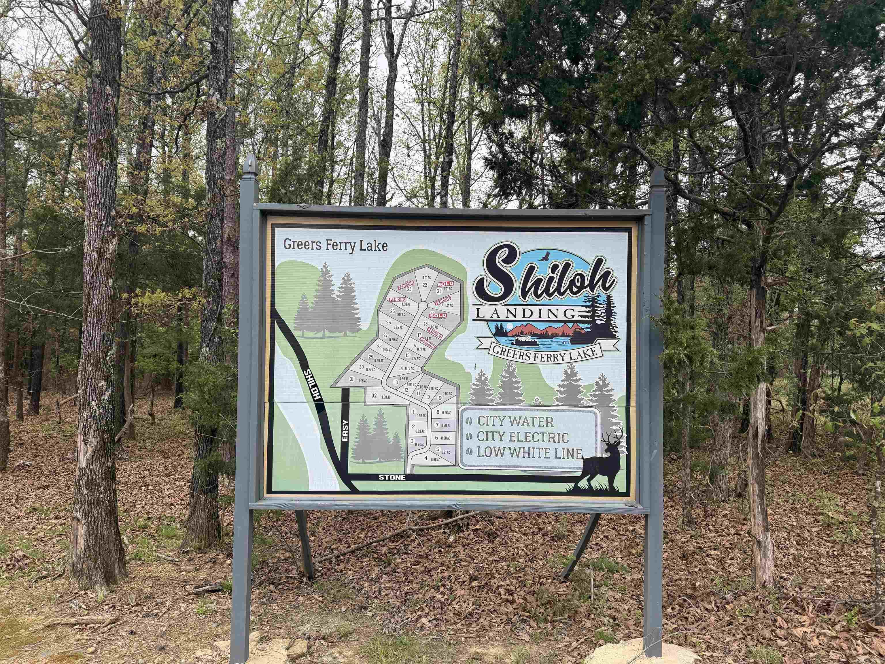 Lot 30 Shiloh Landing Pointe Property Photo 2