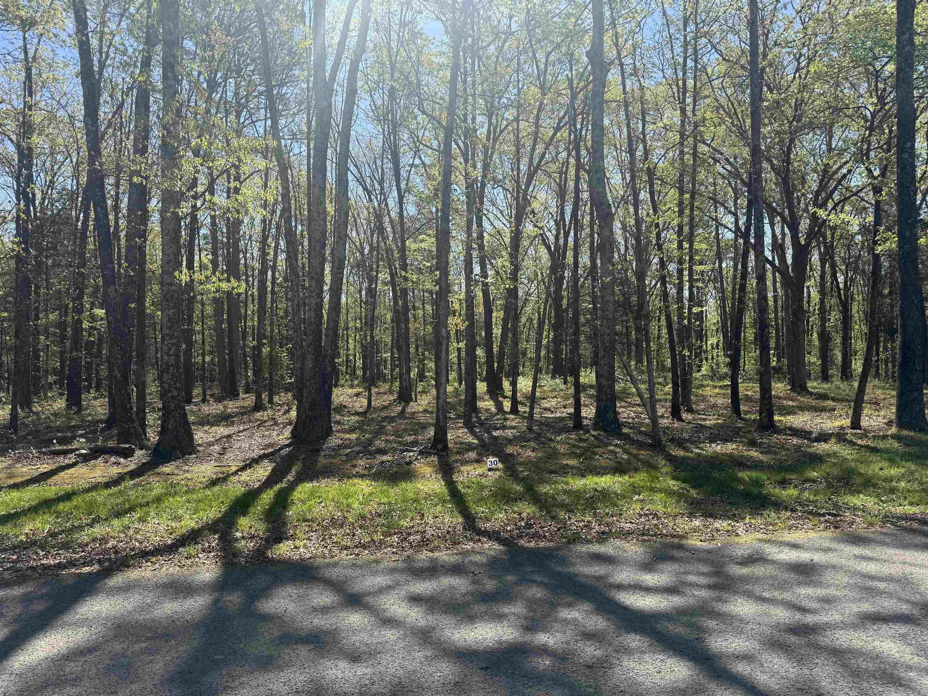 Lot 30 Shiloh Landing Pointe Property Photo 3