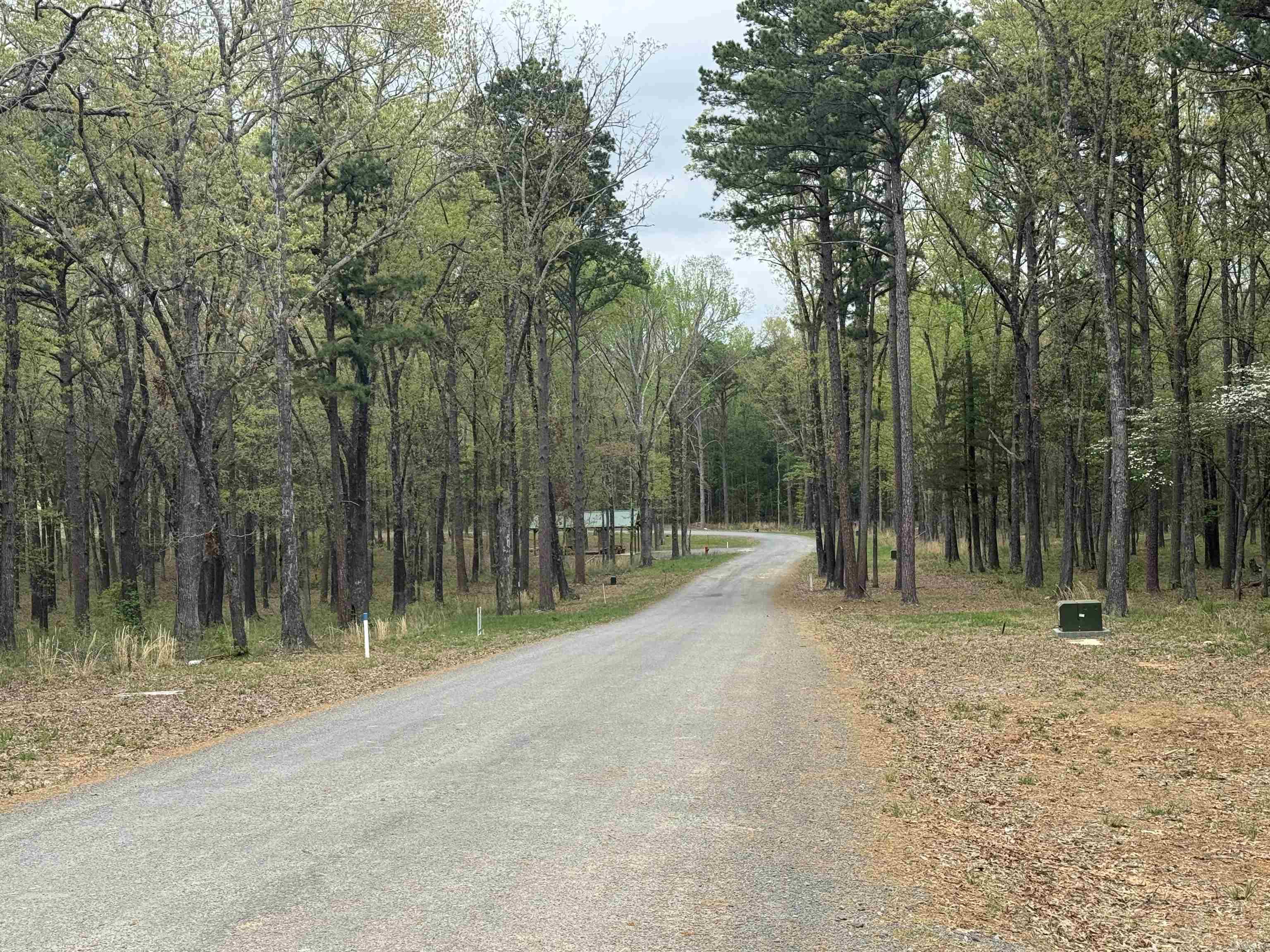 Lot 30 Shiloh Landing Pointe Property Photo 4