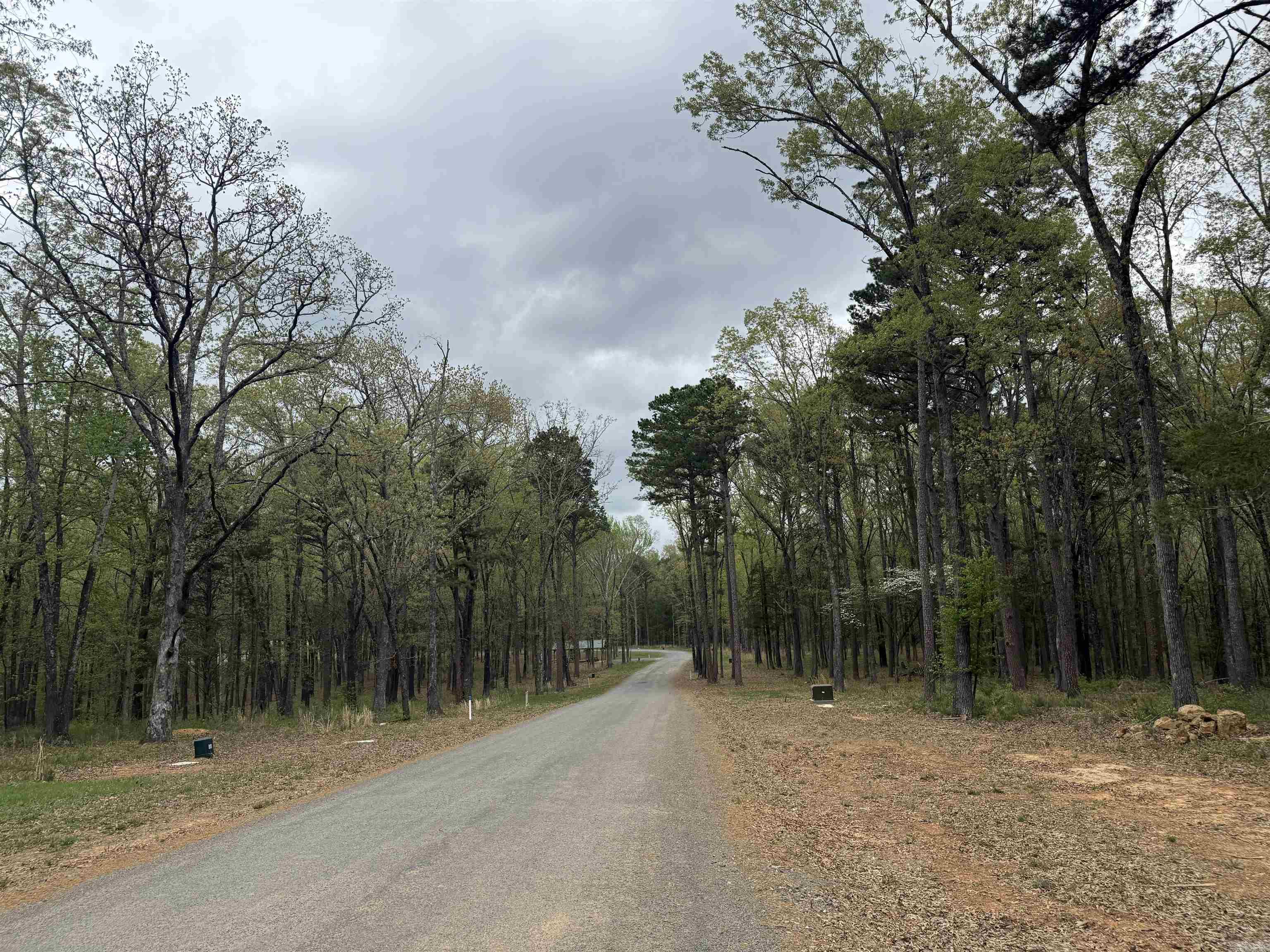 Lot 30 Shiloh Landing Pointe Property Photo 5
