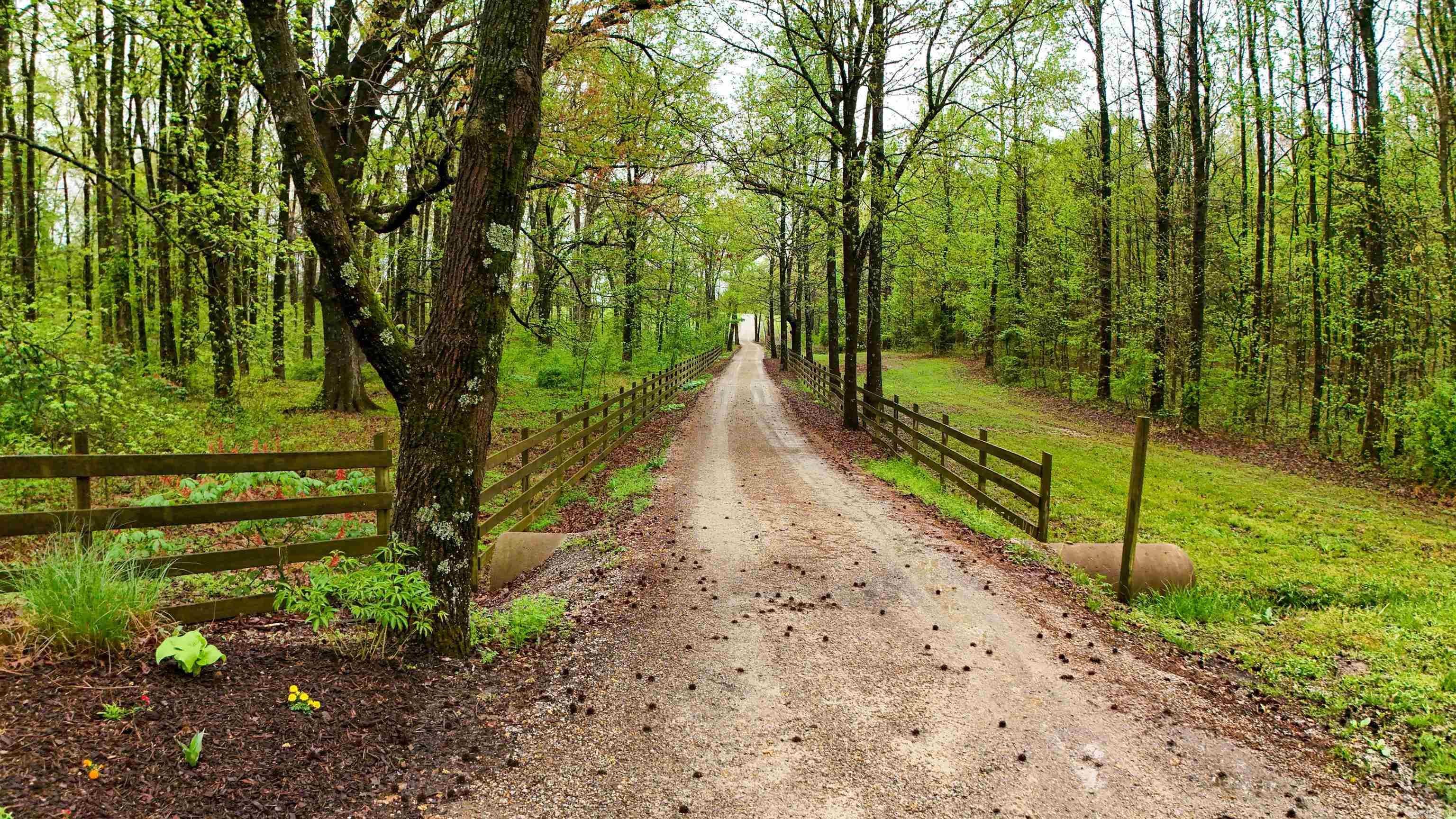4851 County Road 745 Property Photo 40