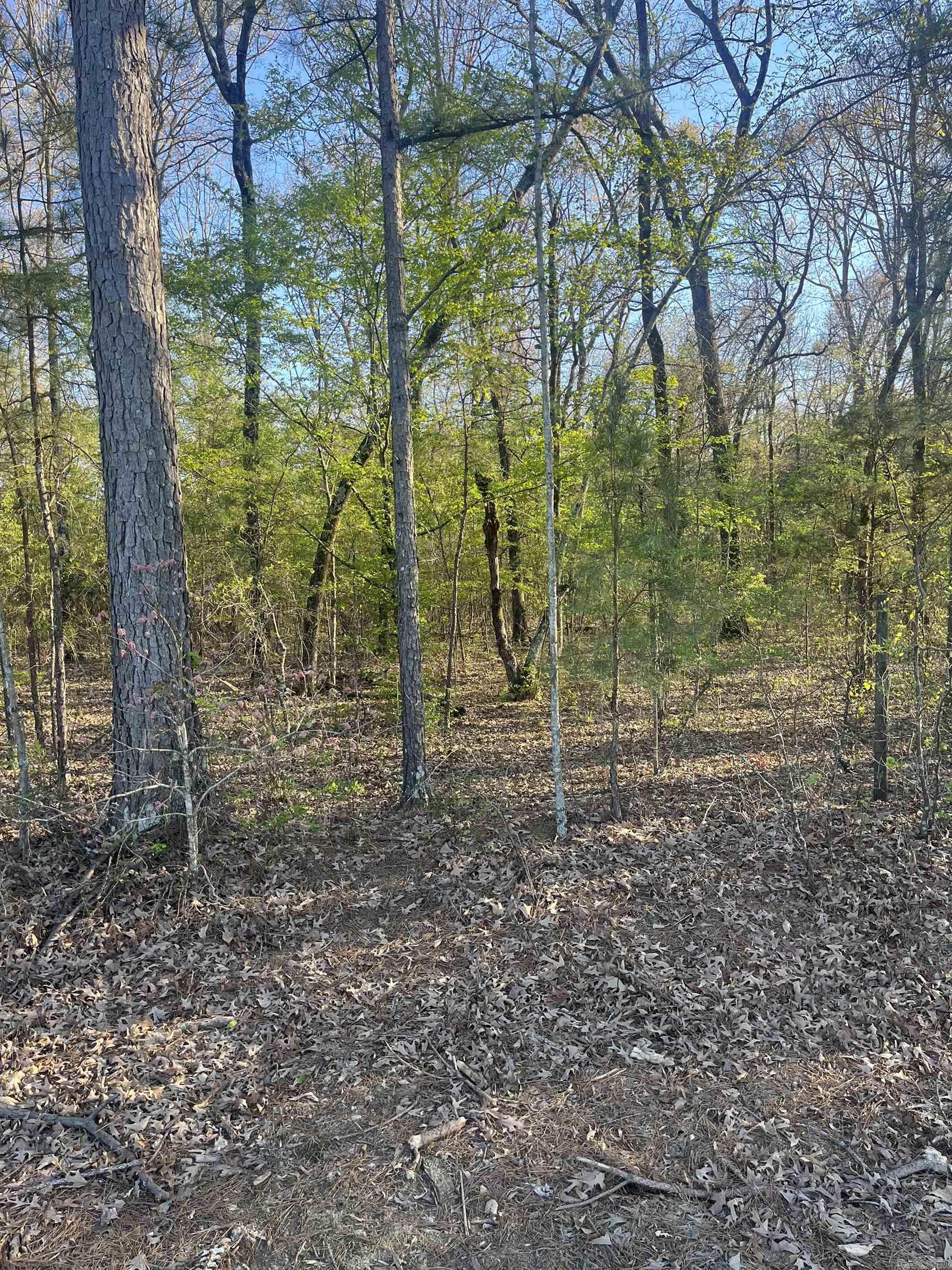 Hoover Lane Property Photo 5