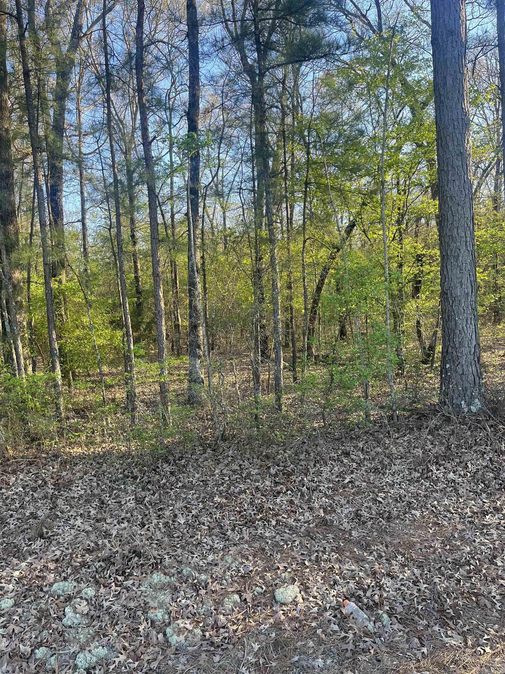 Hoover Lane Property Photo 6