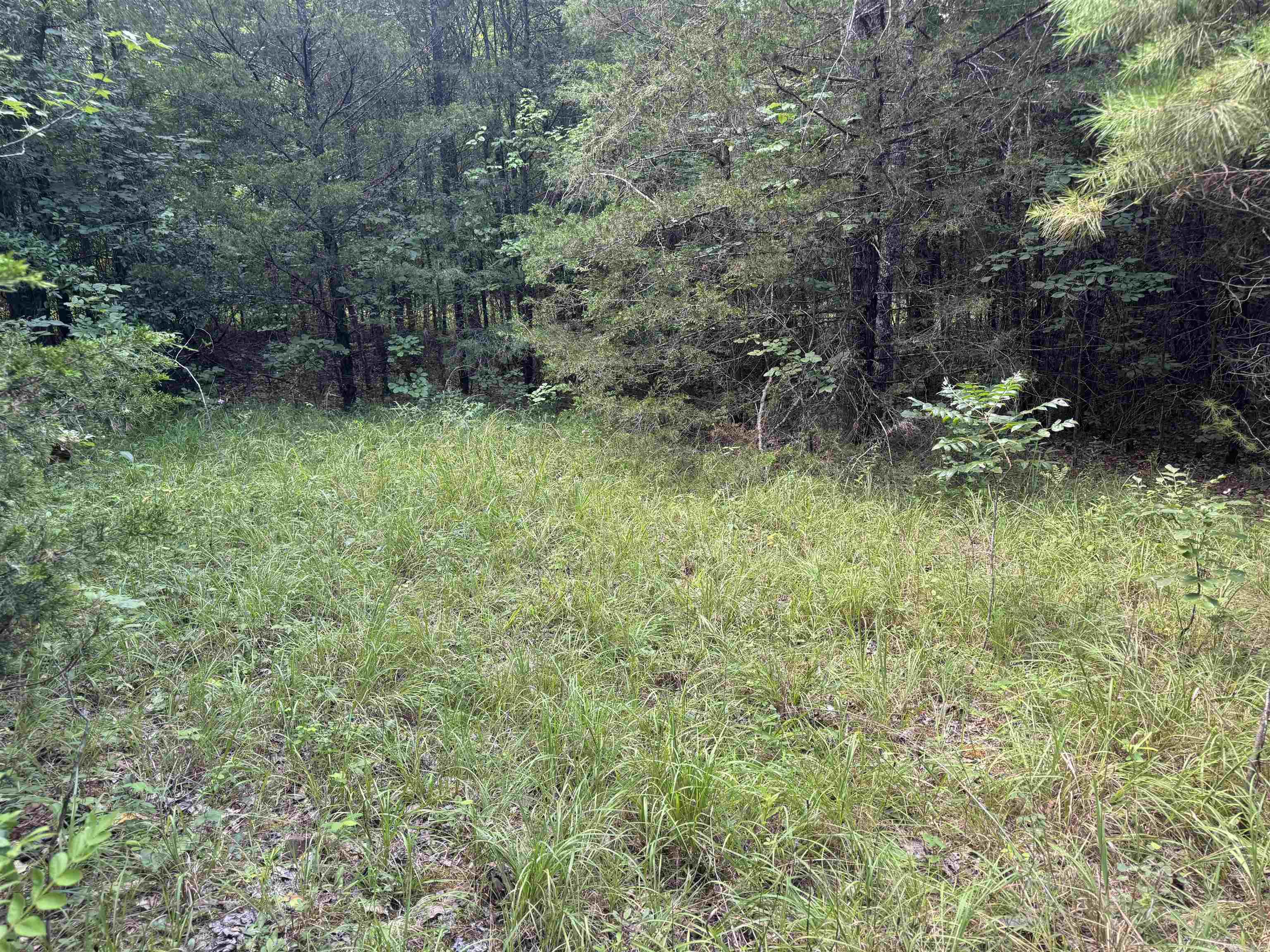 00 Moon Road Property Photo 2