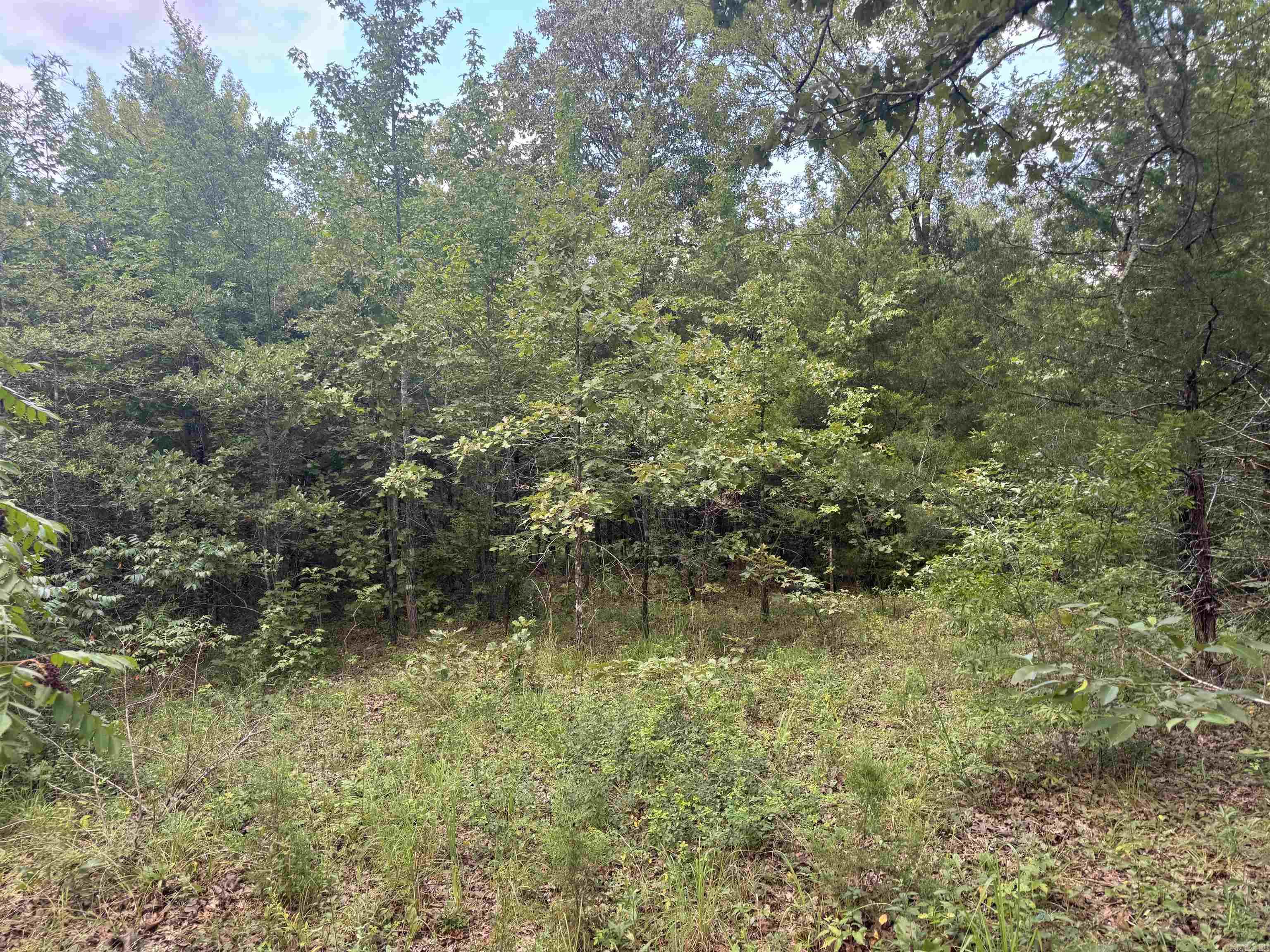 00 Moon Road Property Photo 3