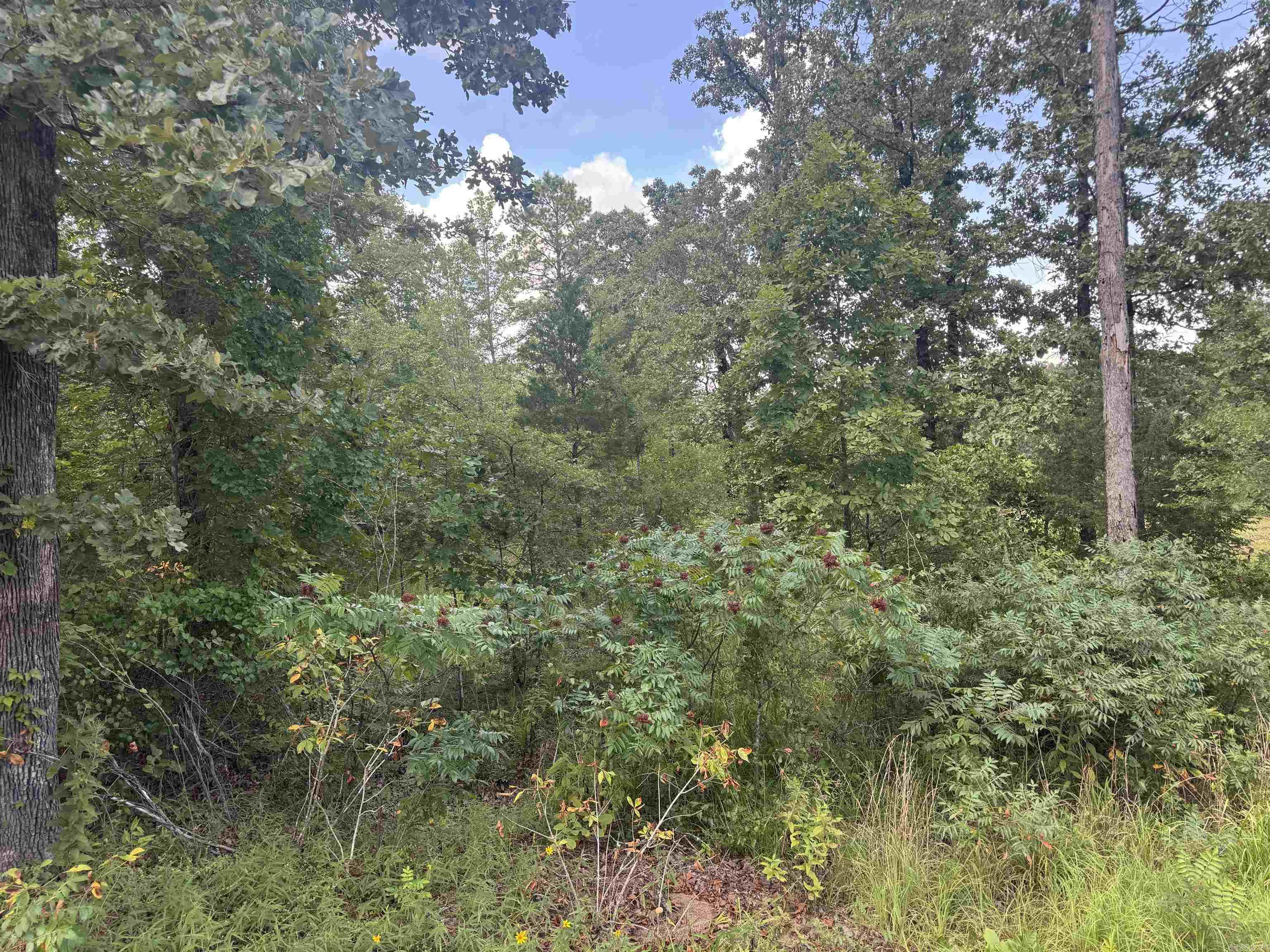00 Moon Road Property Photo 4