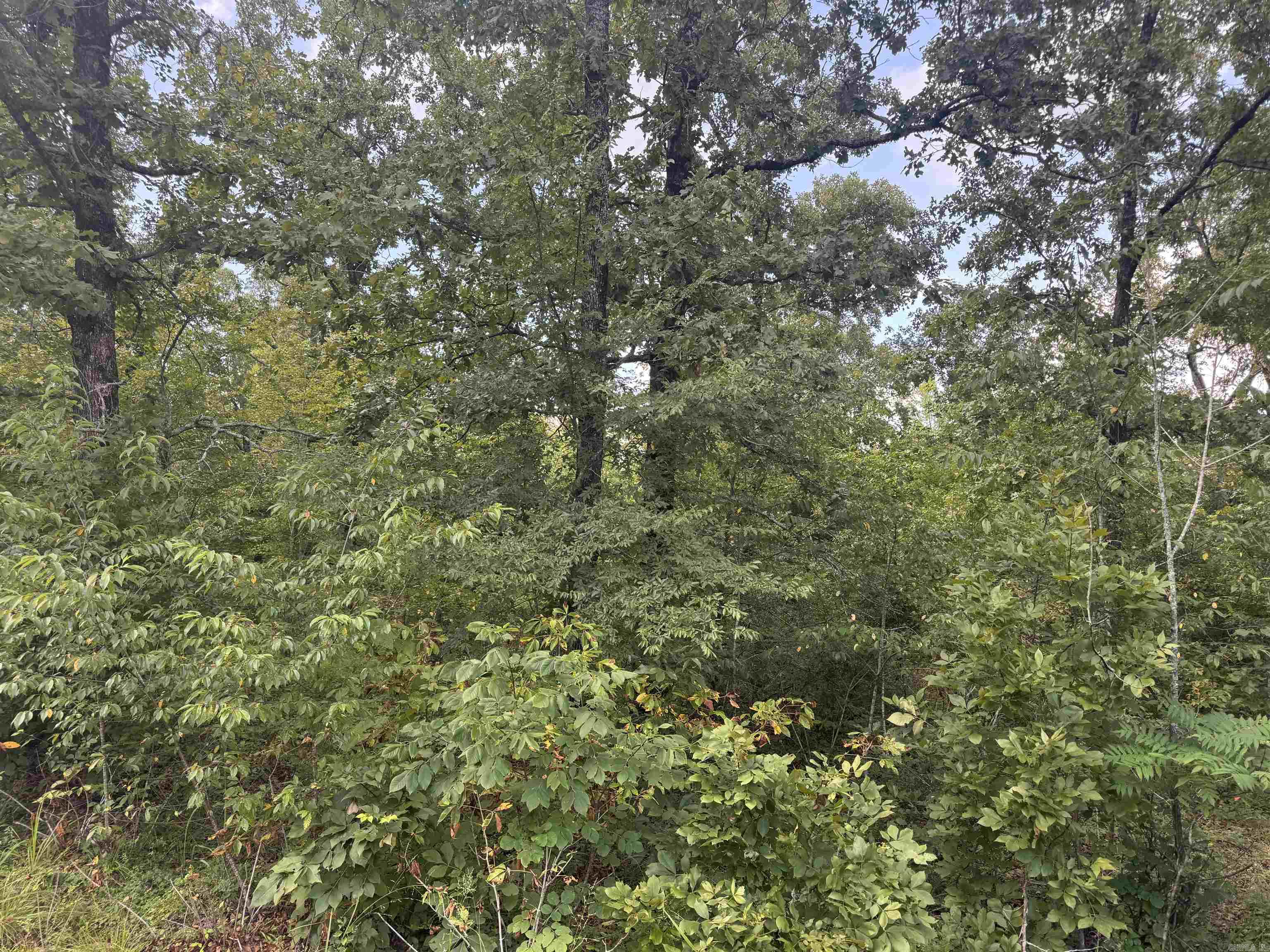00 Moon Road Property Photo 5