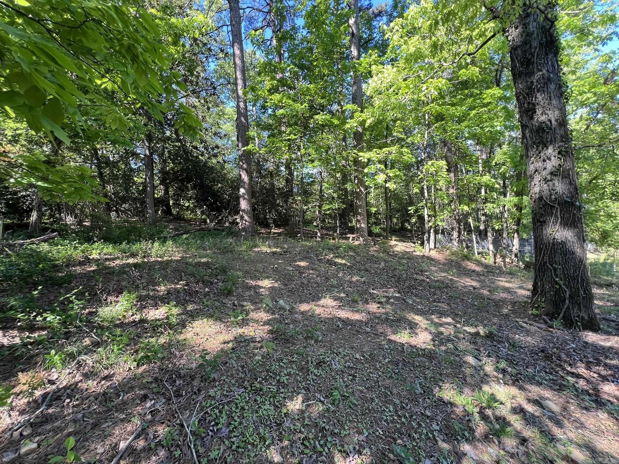 000 Kingston Drive Property Photo 13