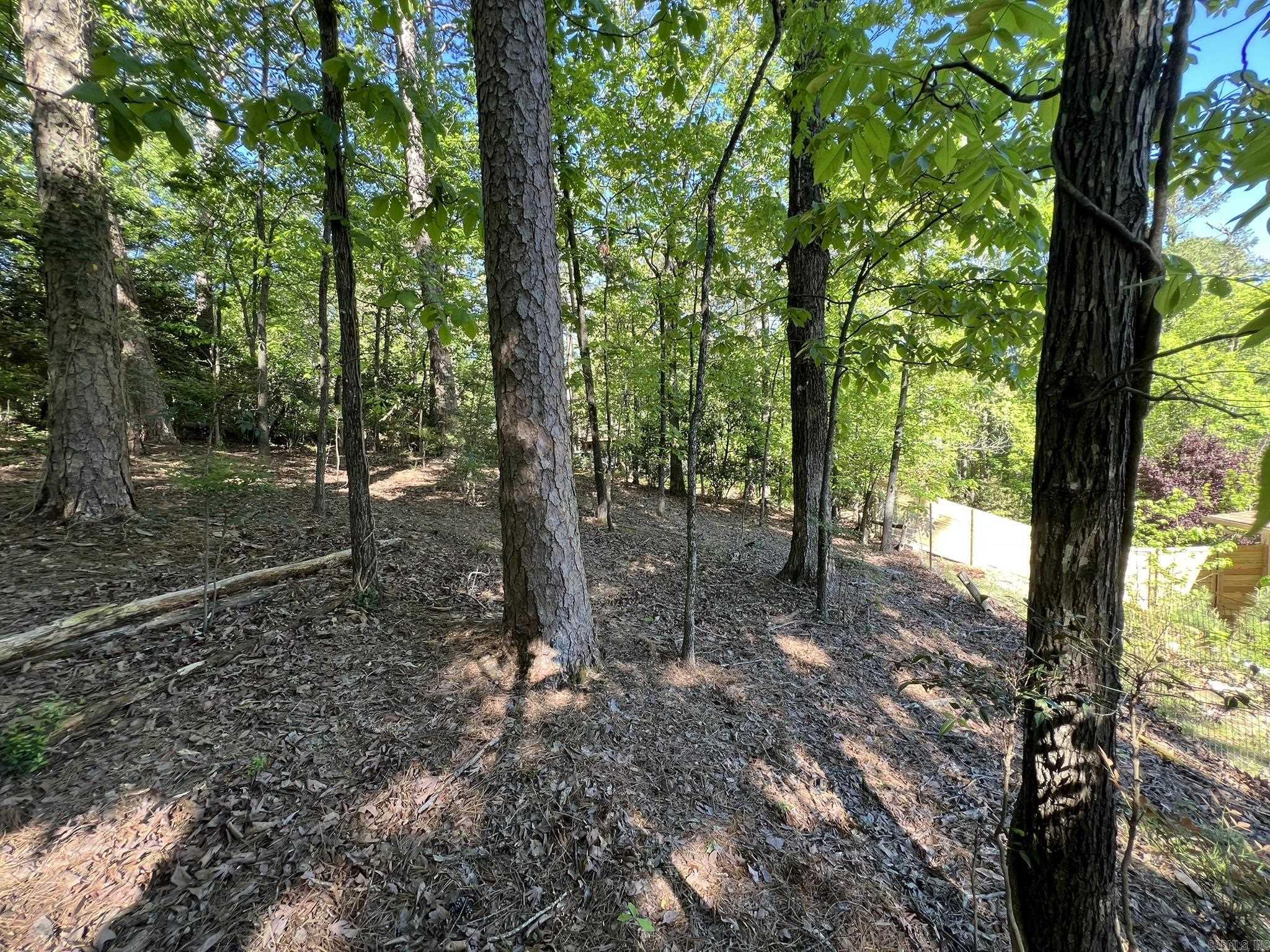 000 Kingston Drive Property Photo 14