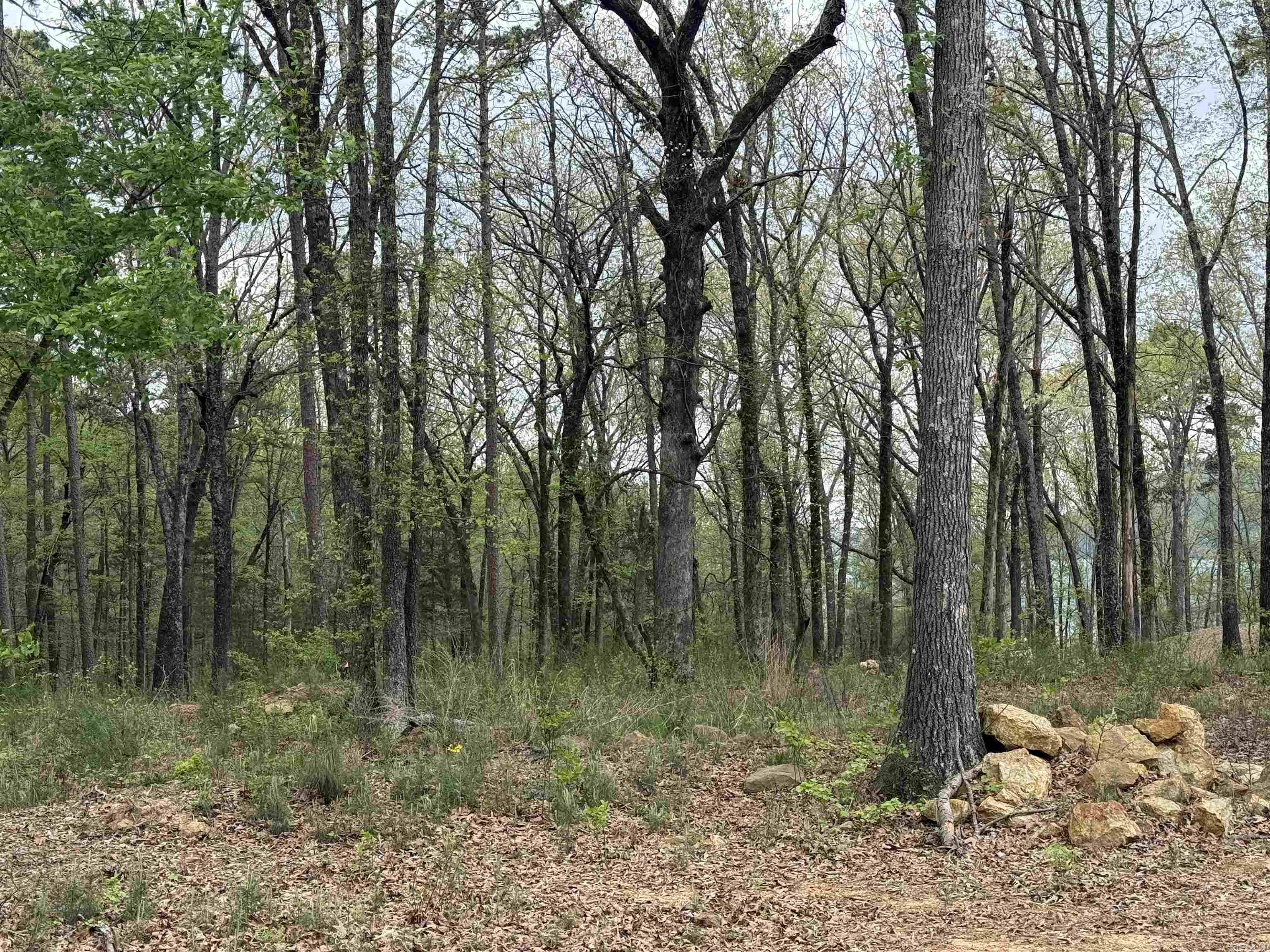Lot 26 Shiloh Landing Pointe Property Photo 3