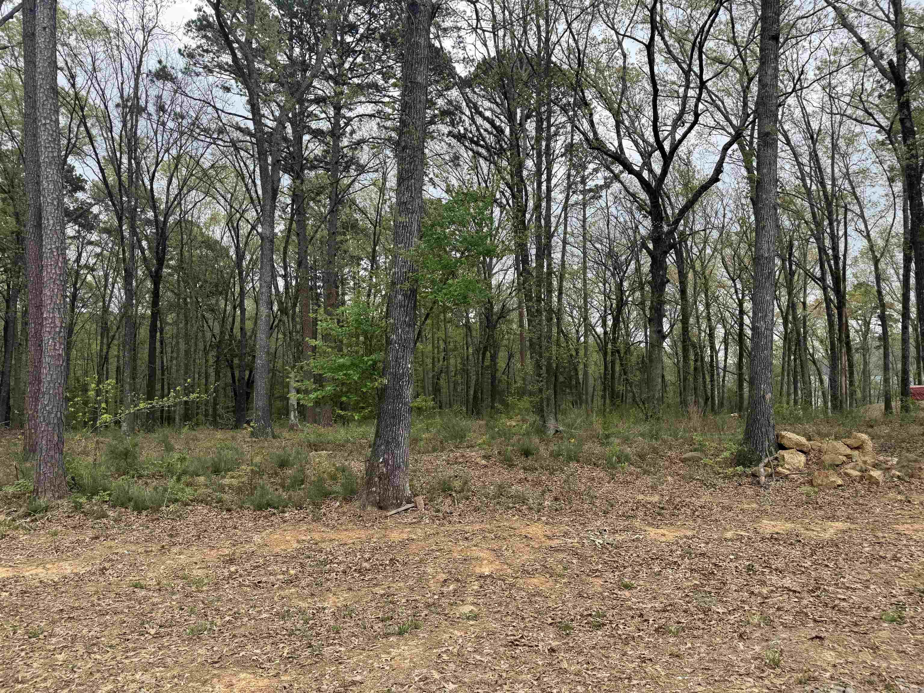 Lot 26 Shiloh Landing Pointe Property Photo 4