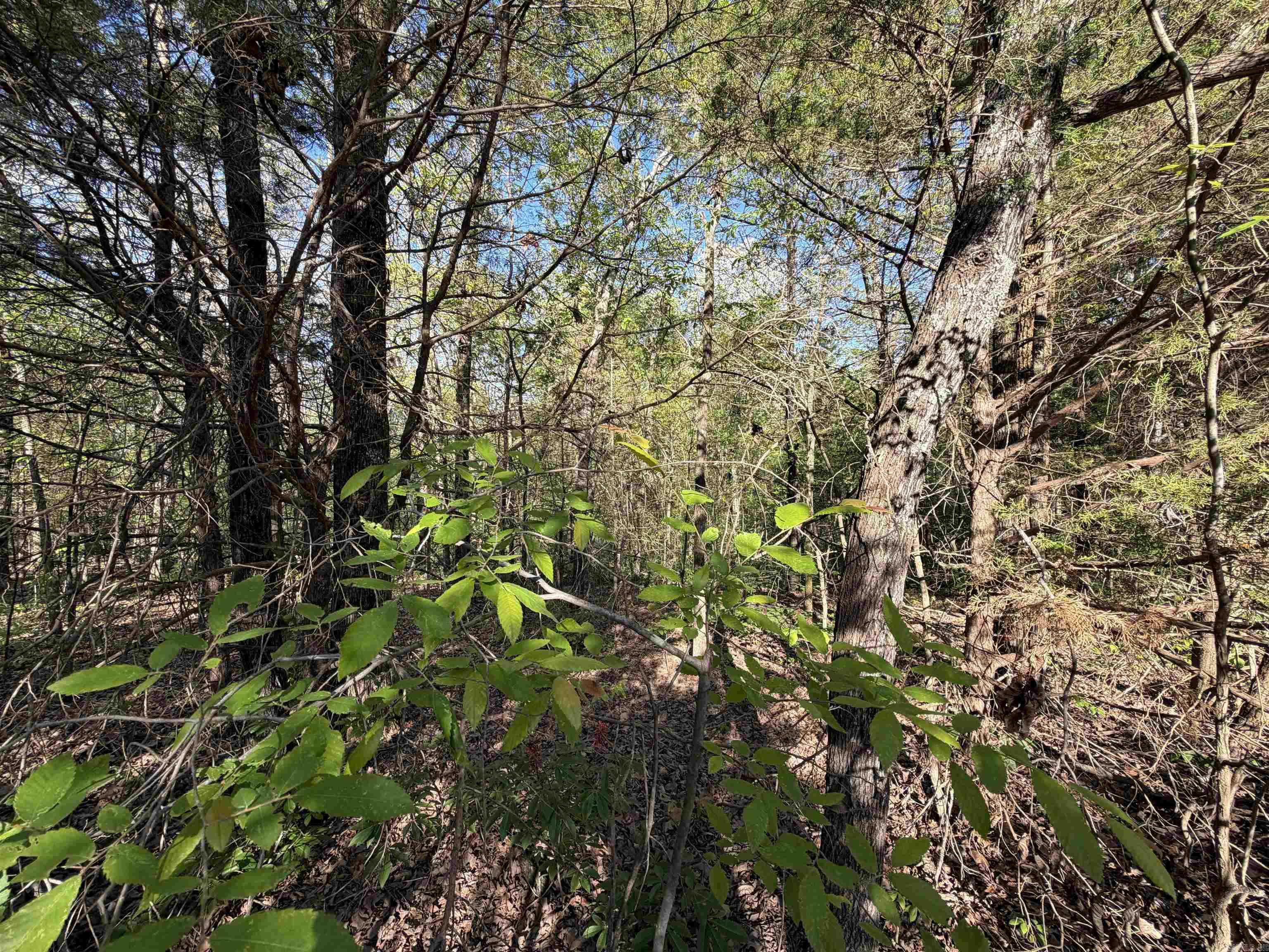 991 Clay 456 Road Property Photo 2