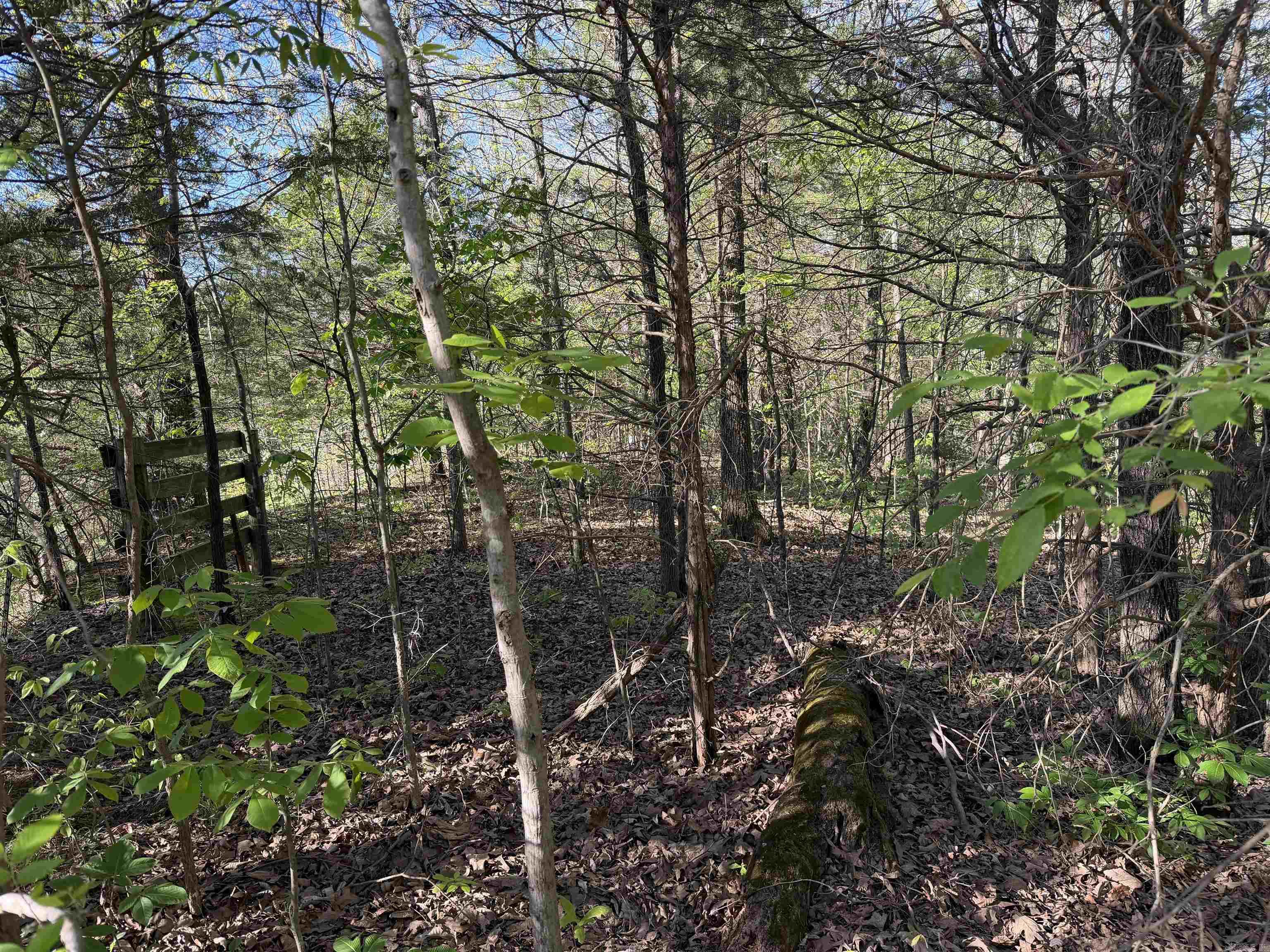 991 Clay 456 Road Property Photo 3