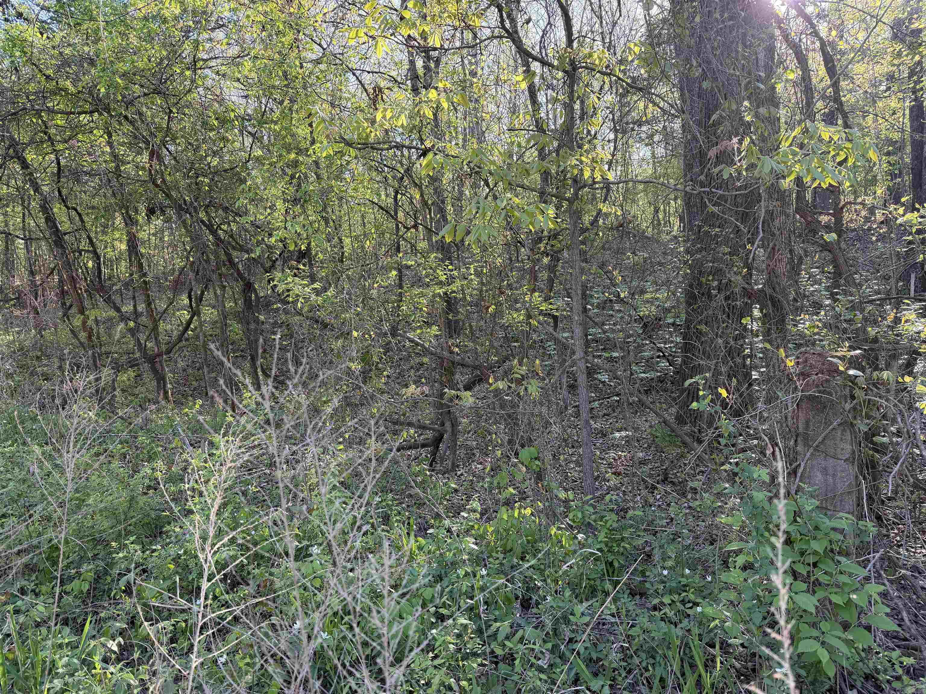 991 Clay 456 Road Property Photo 4