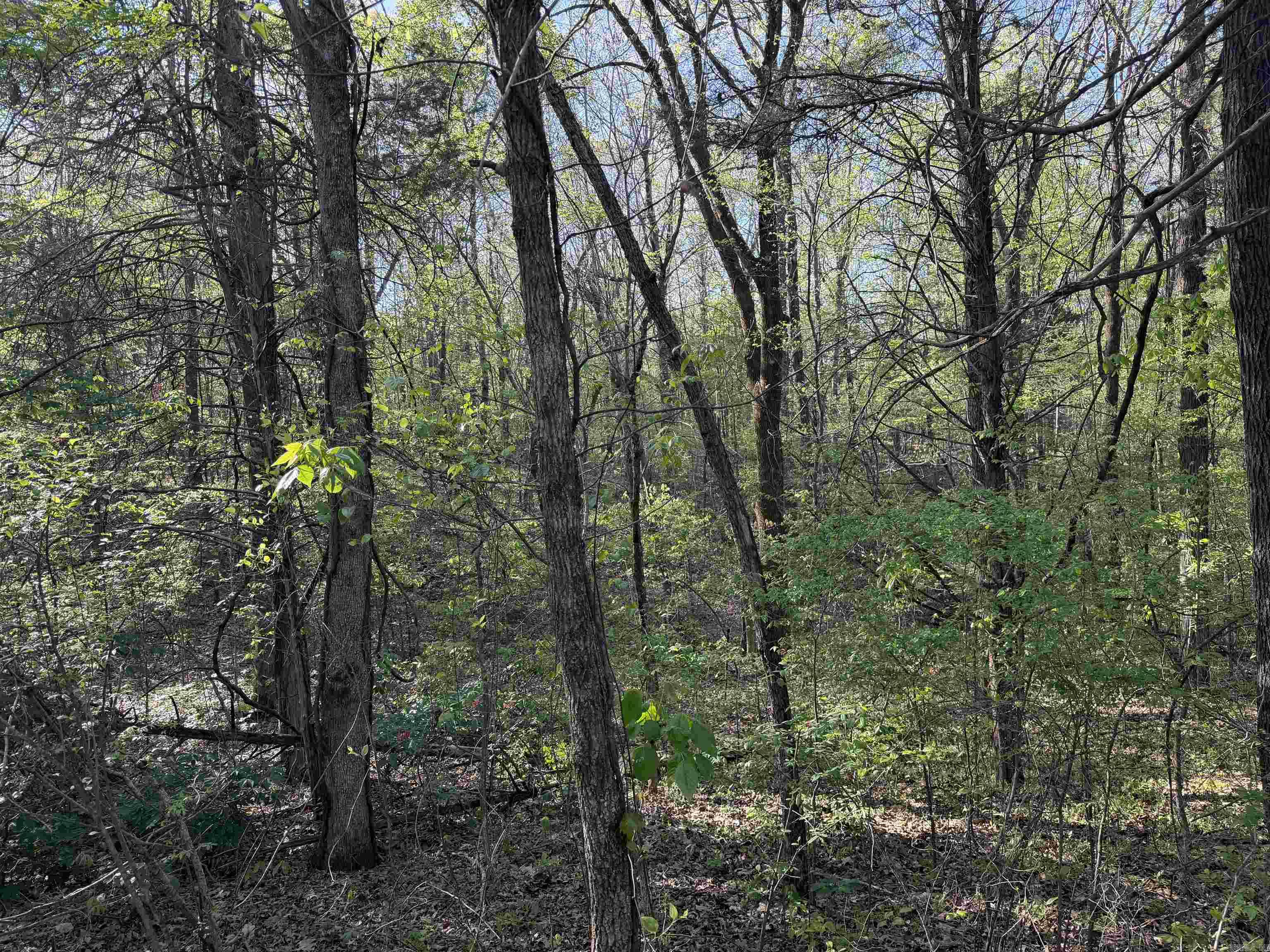 991 Clay 456 Road Property Photo 6