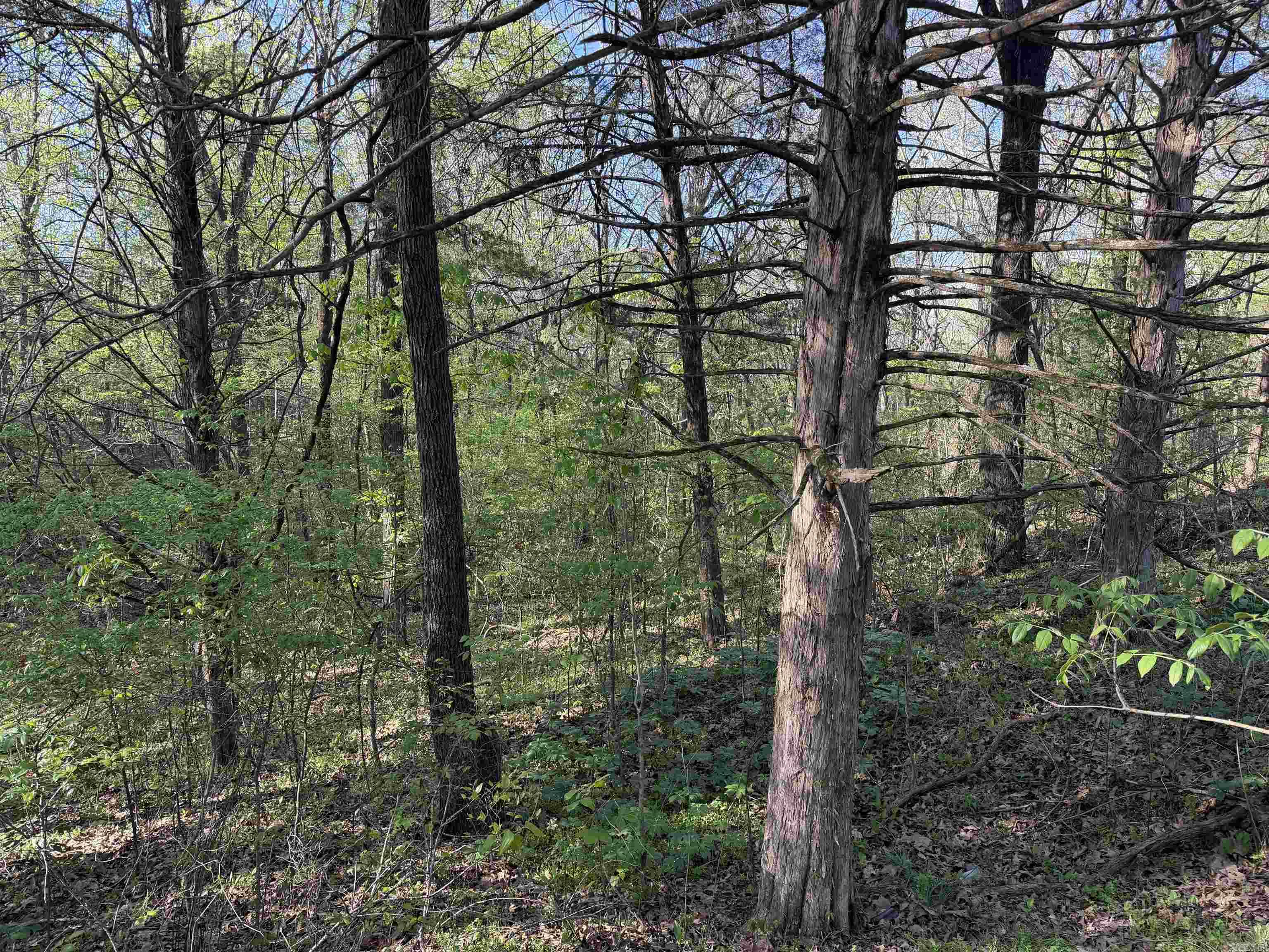 991 Clay 456 Road Property Photo 7