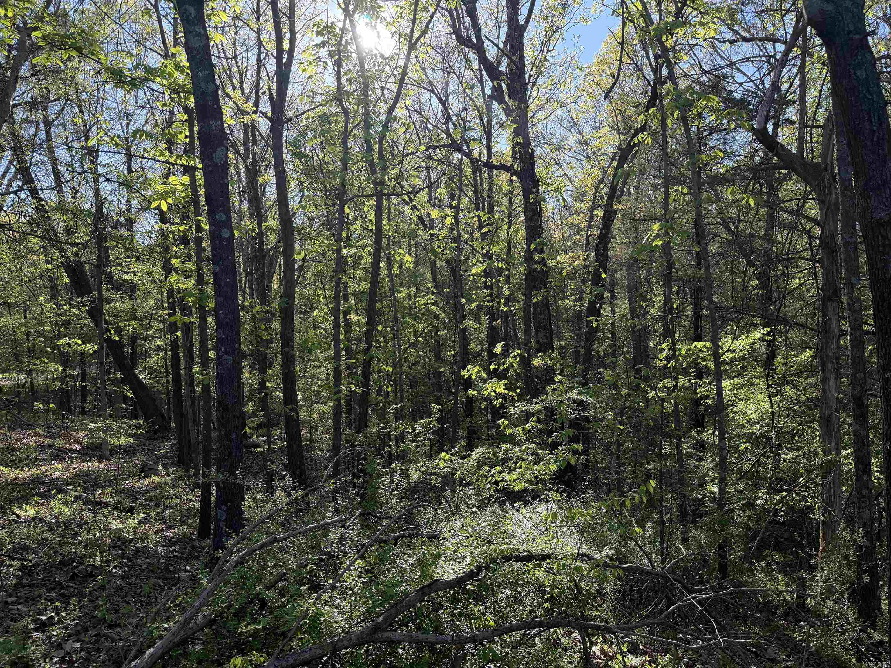 991 Clay 456 Road Property Photo 8