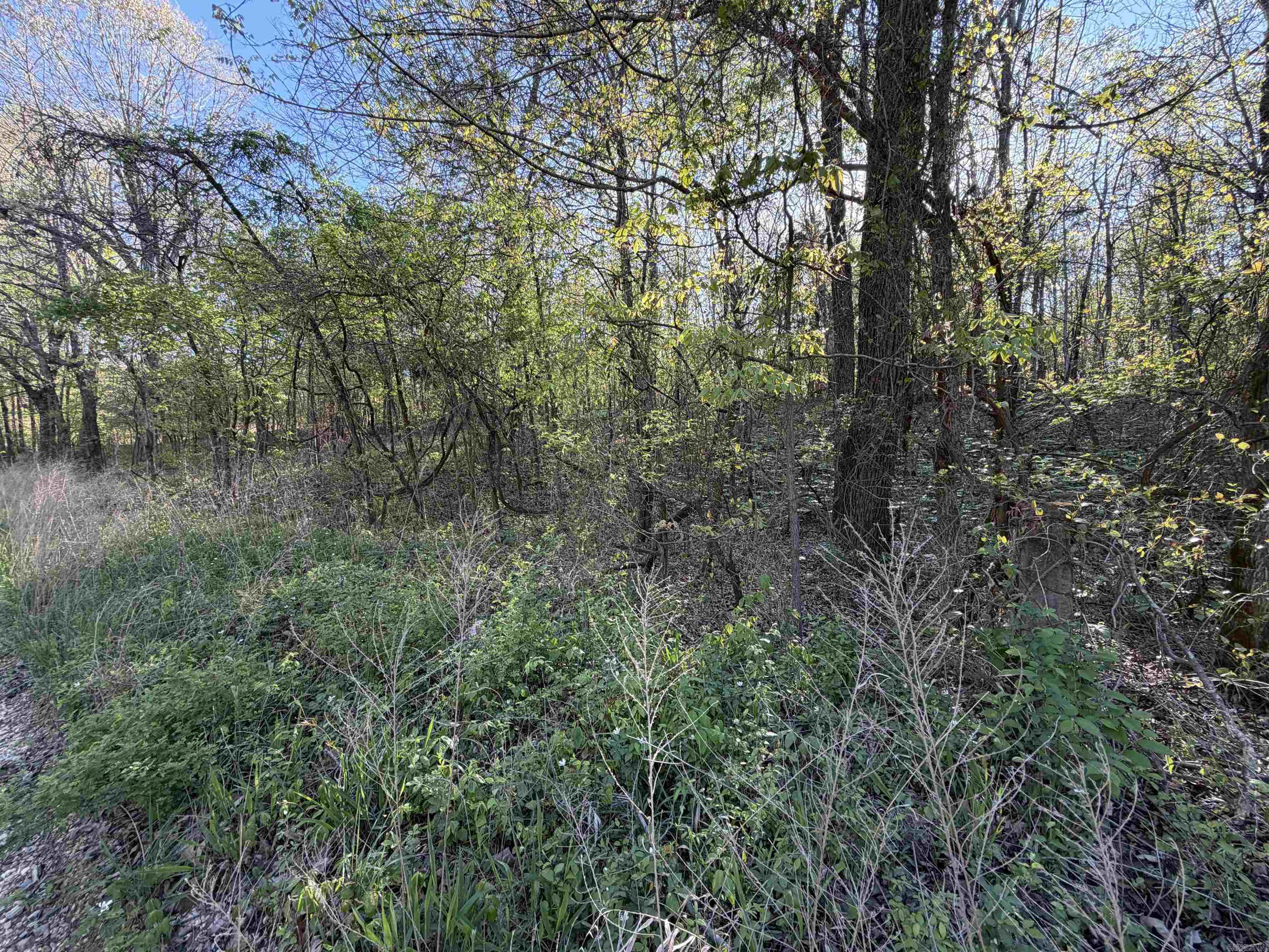 991 Clay 456 Road Property Photo 10