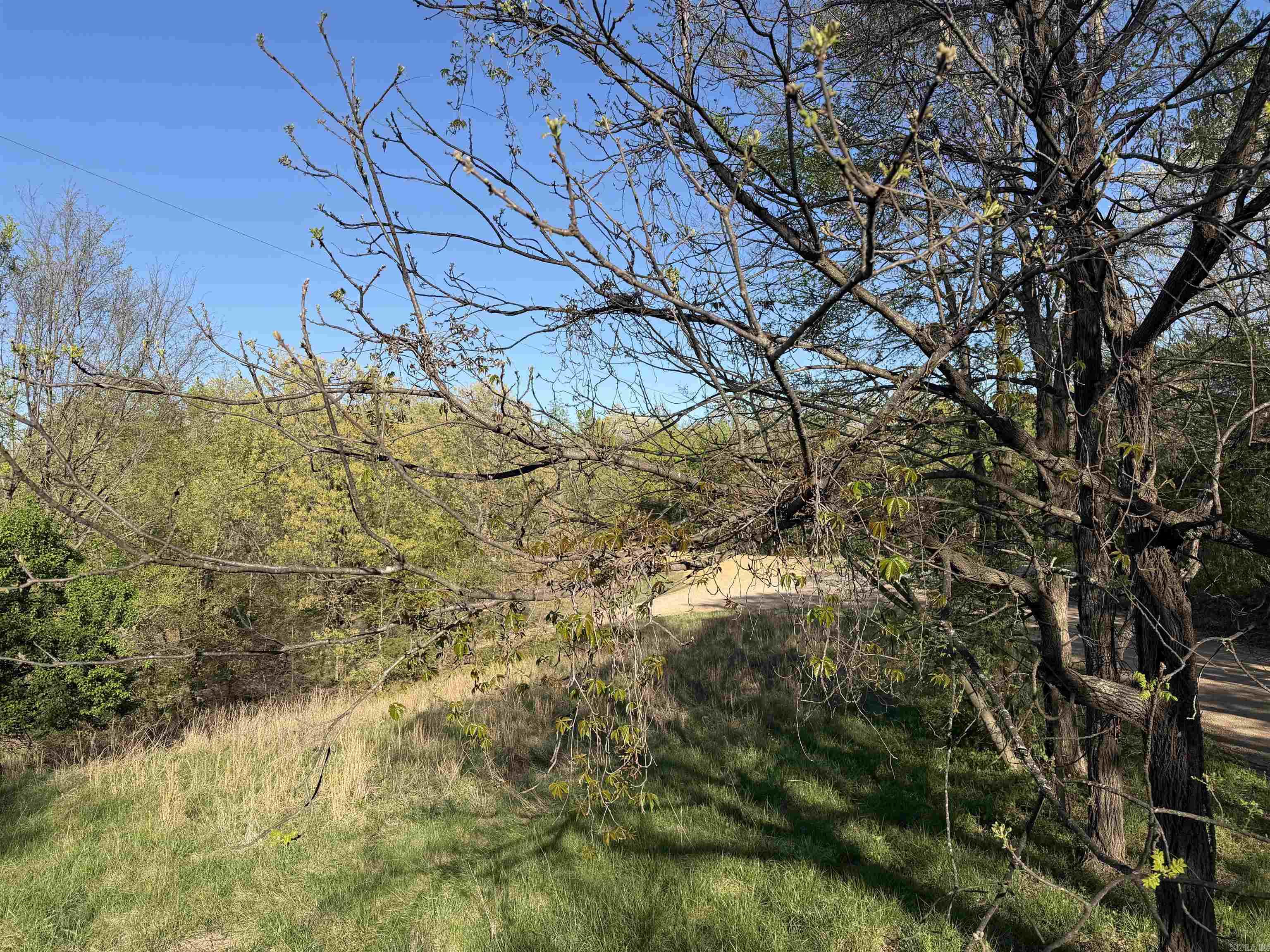 991 Clay 456 Road Property Photo 11