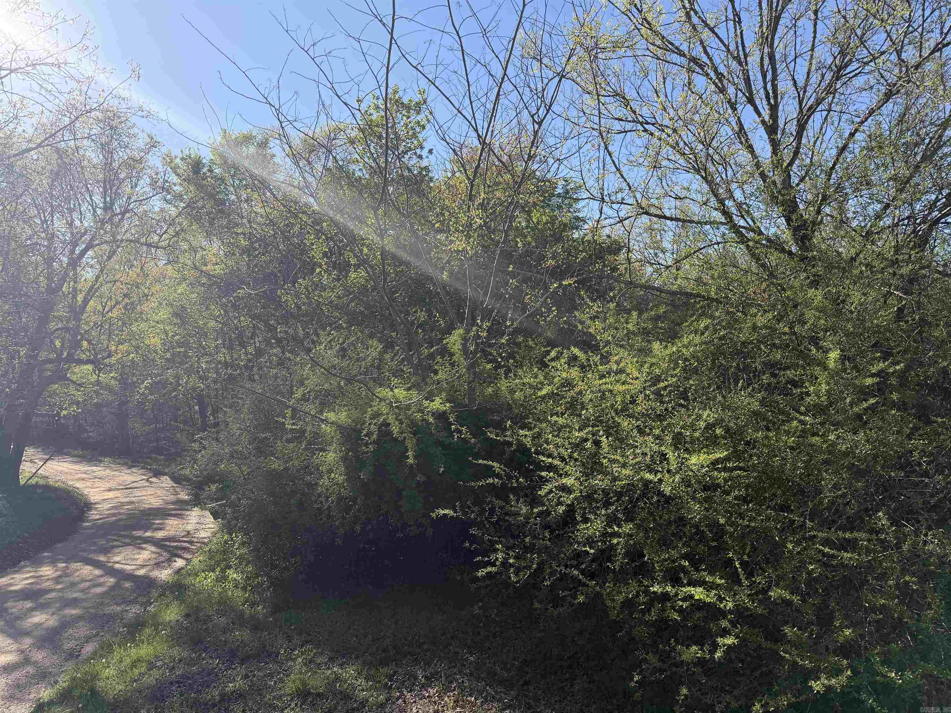 991 Clay 456 Road Property Photo 12