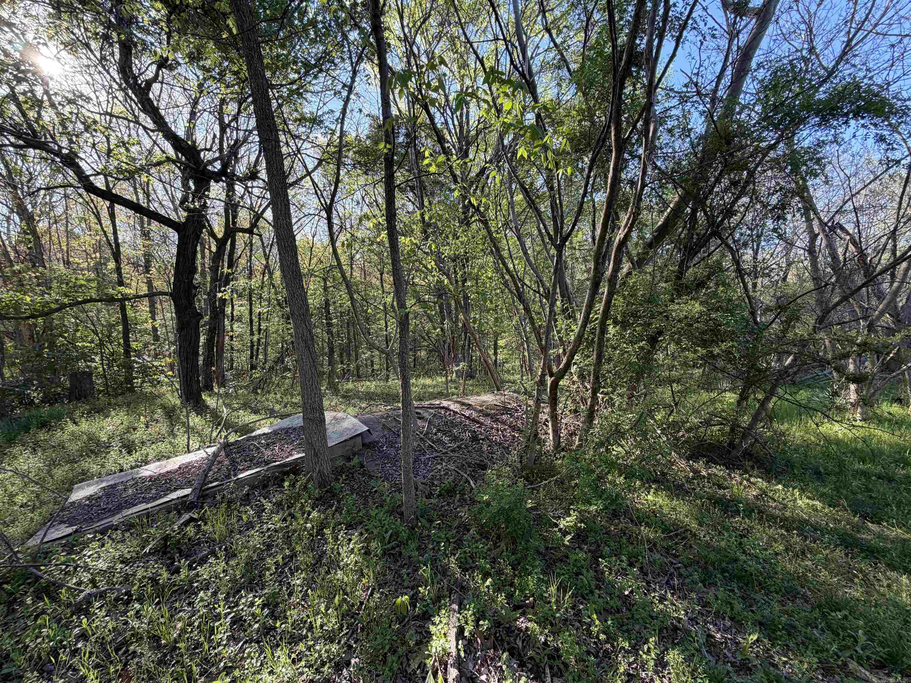 991 Clay 456 Road Property Photo 16