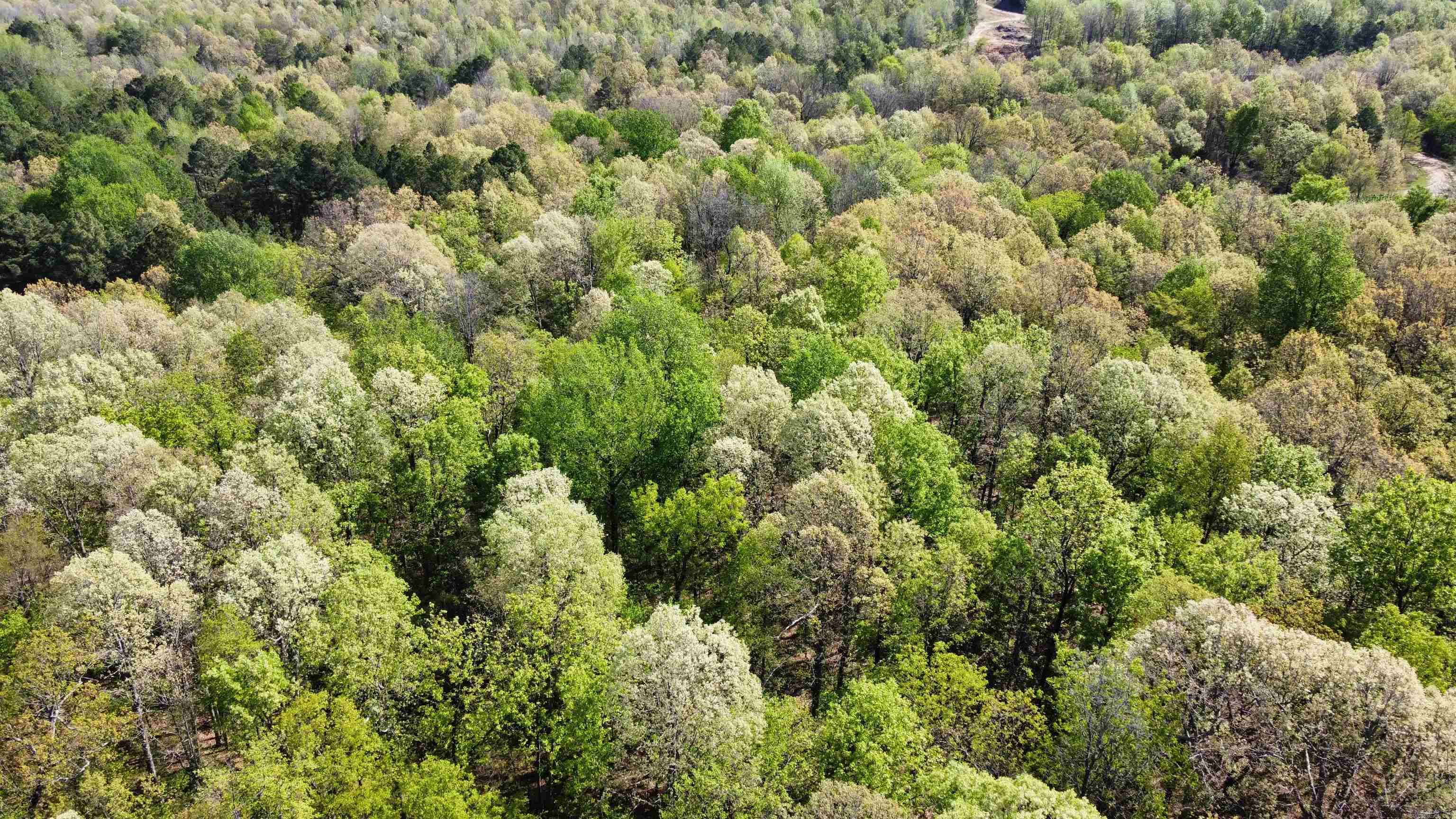 991 Clay 456 Road Property Photo 21