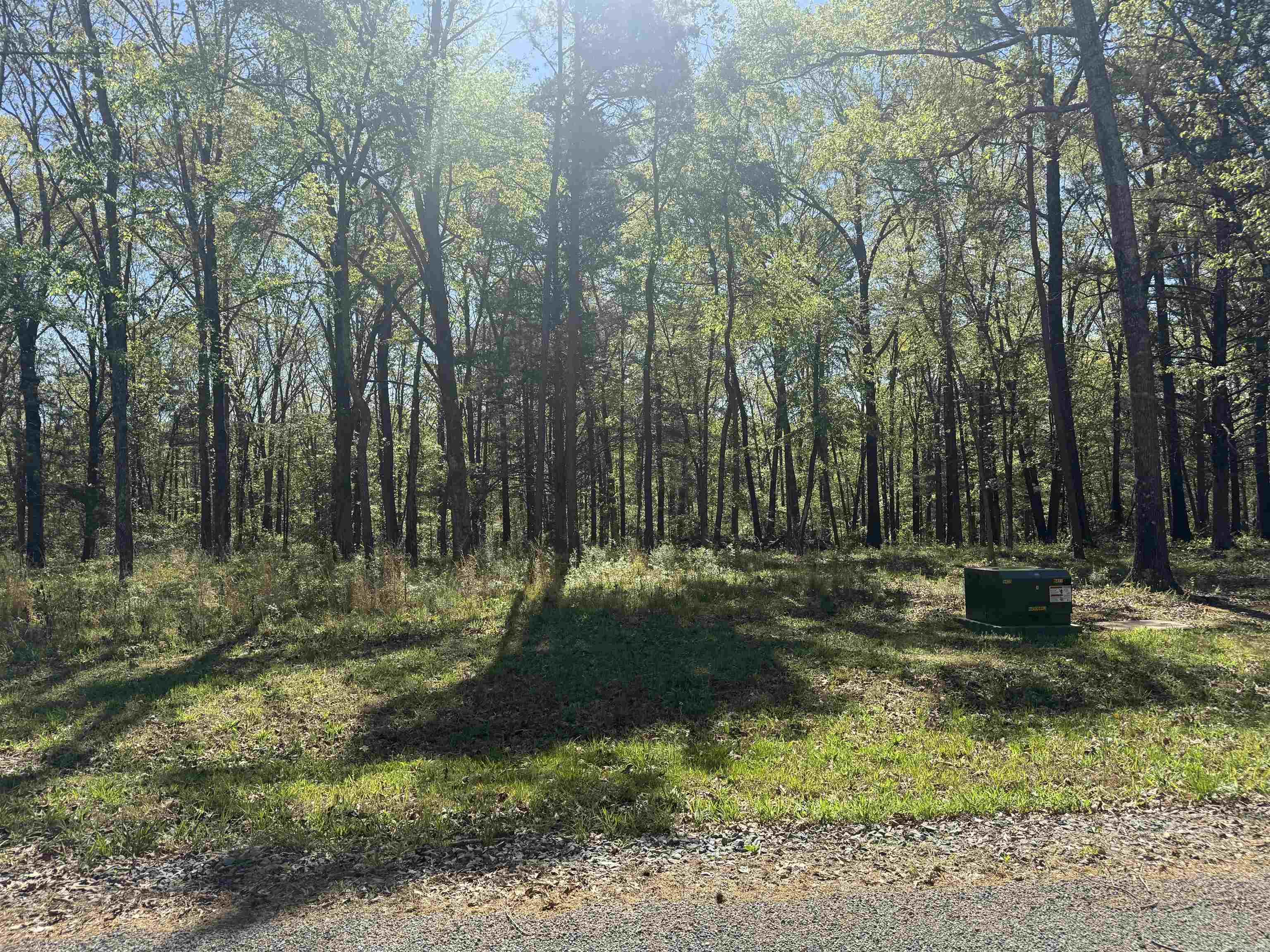 Lot 28 Shiloh Landing Pointe Property Photo 3