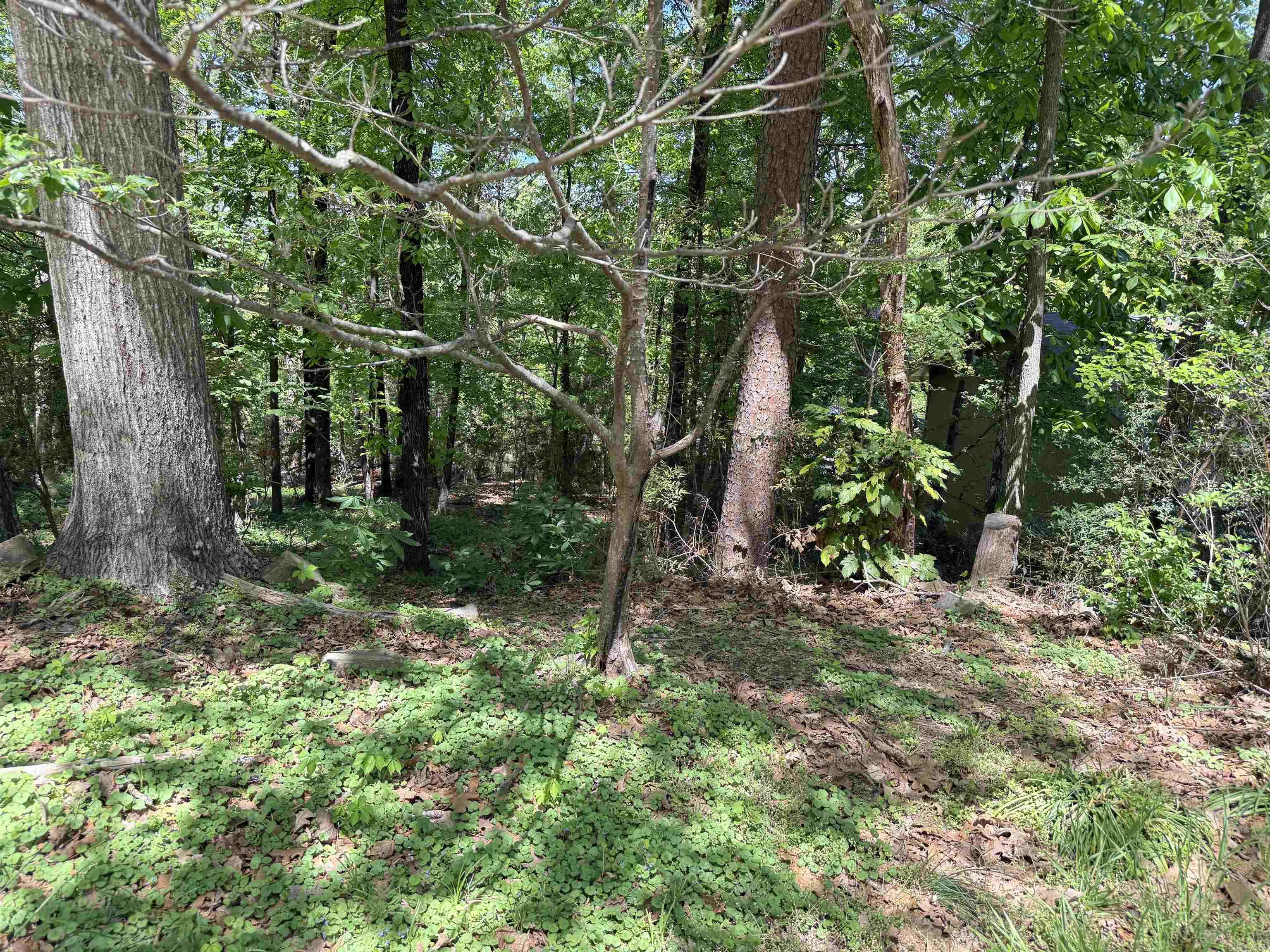 14 Foxhunt Trail Property Photo 2