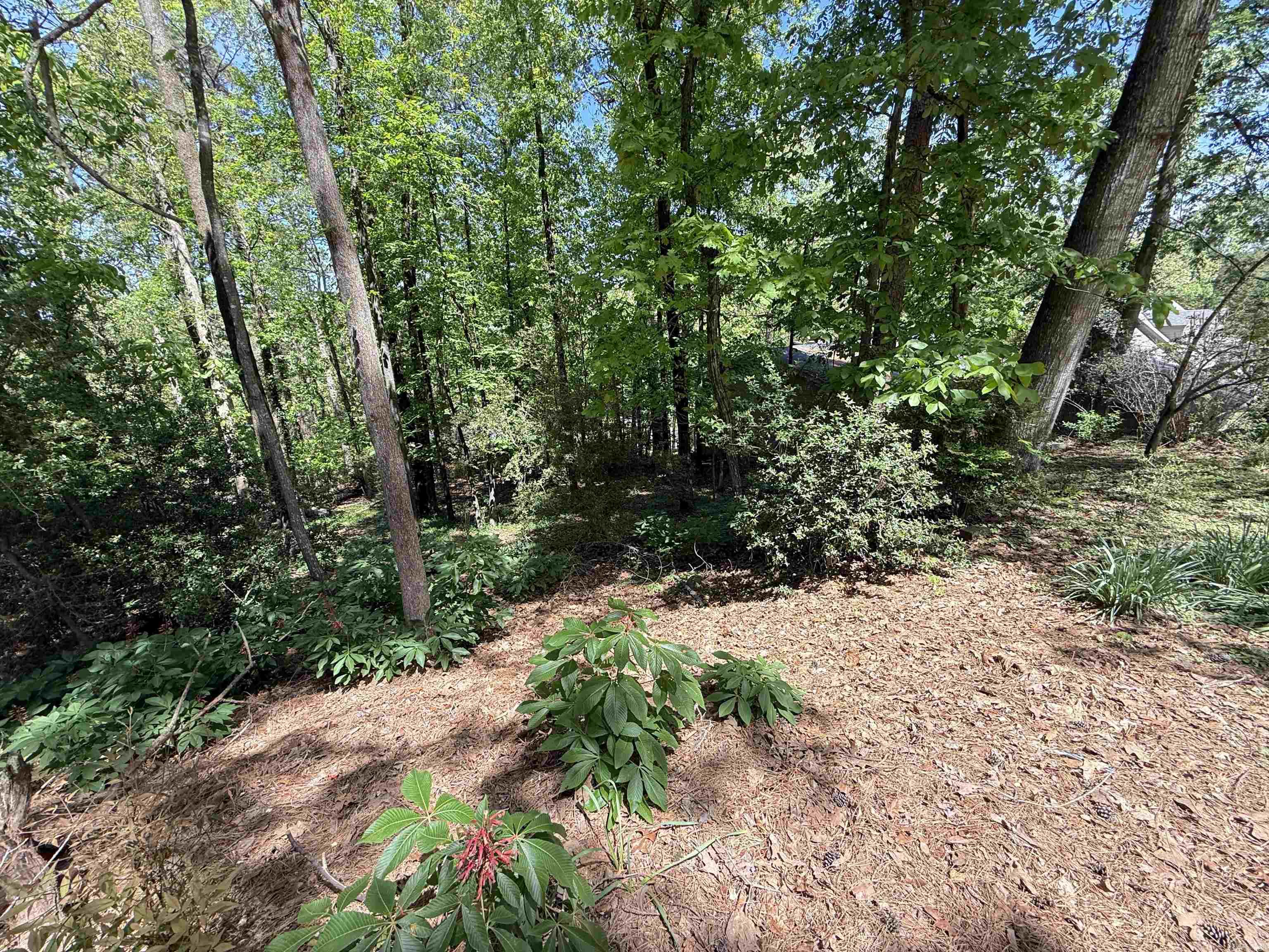 14 Foxhunt Trail Property Photo 3