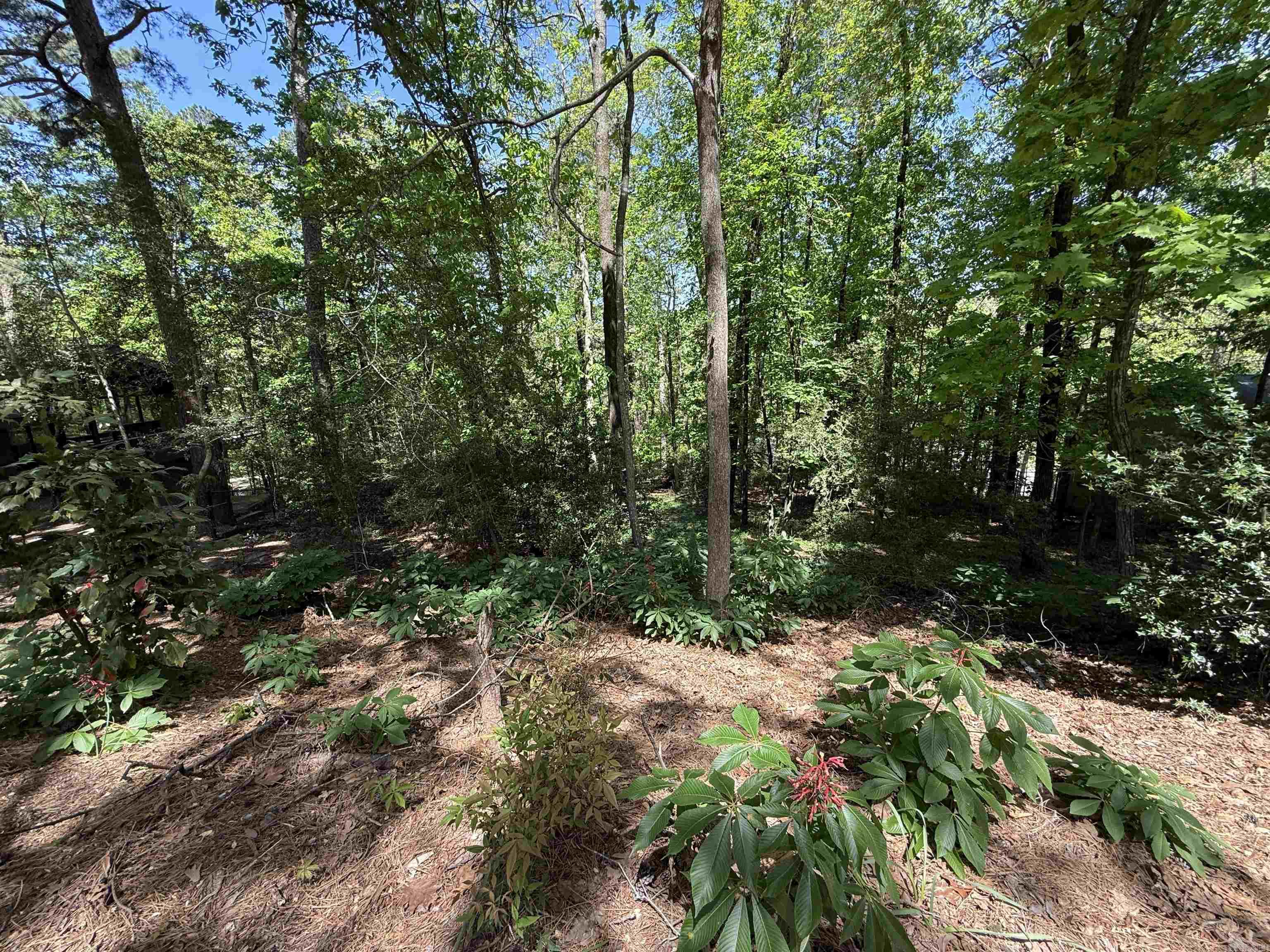 14 Foxhunt Trail Property Photo 4