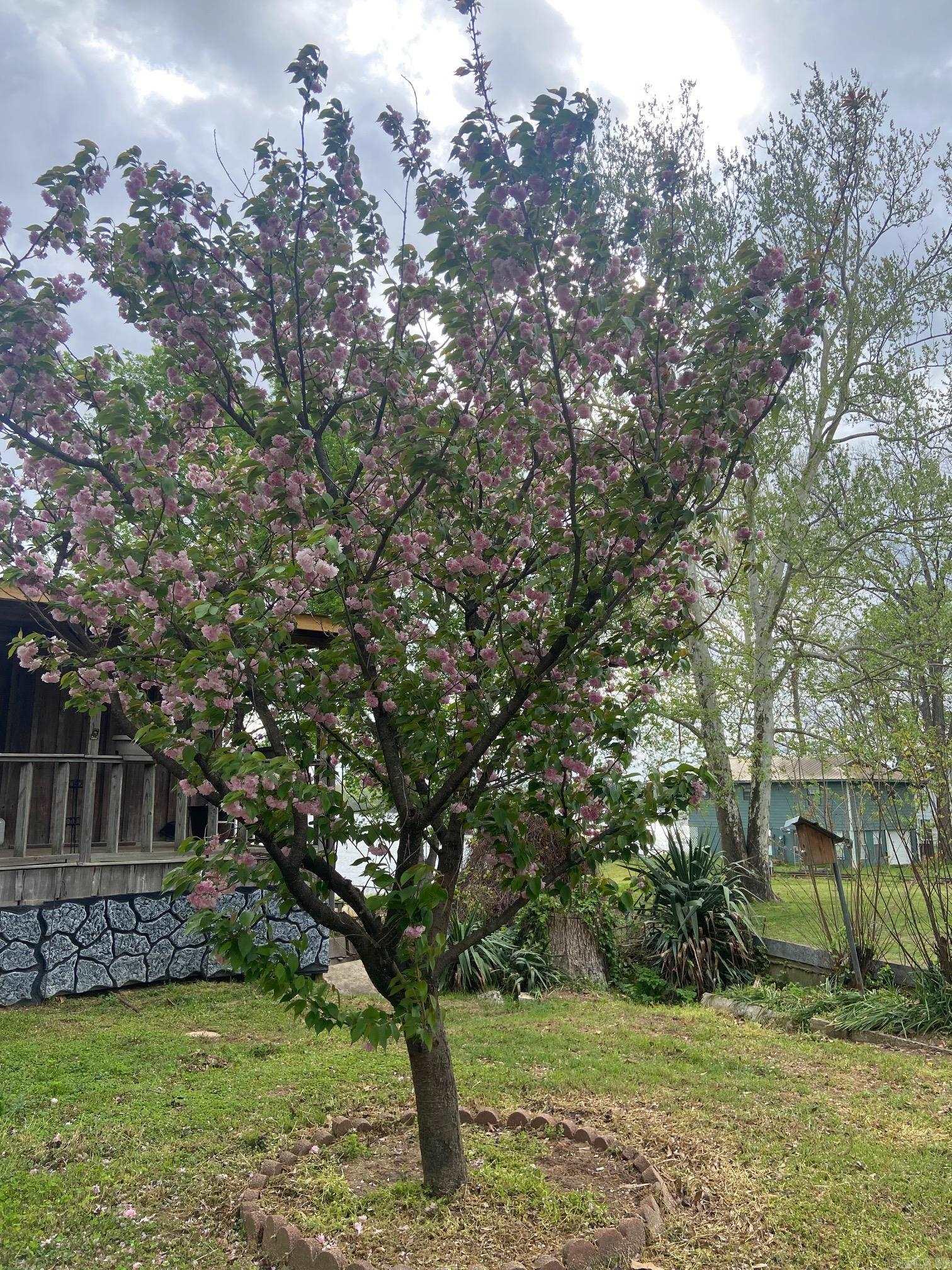 3115 Riverside Drive Property Photo 3