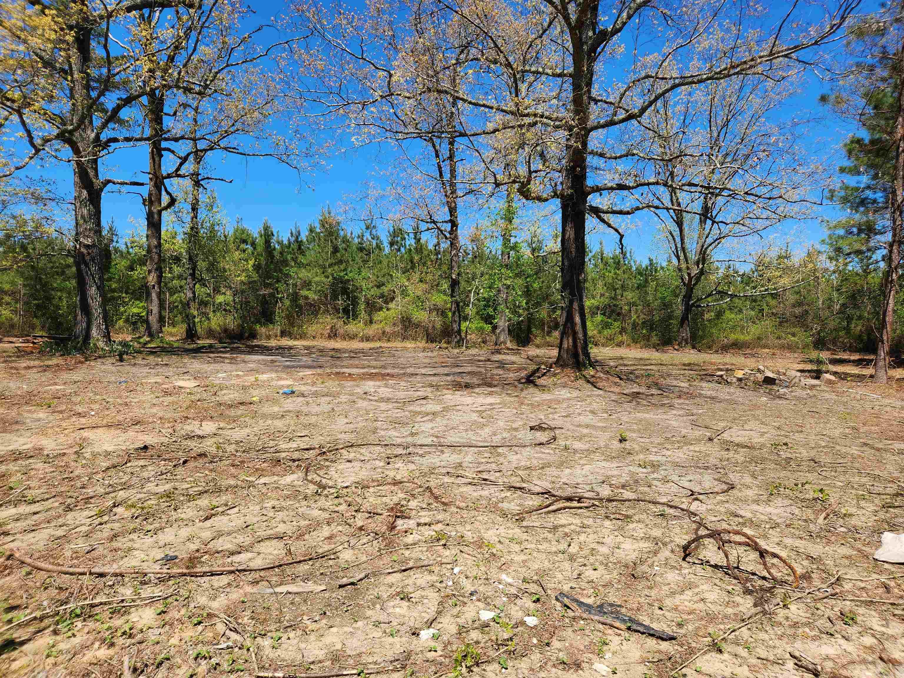 13000 W 54 Highway Property Photo 1